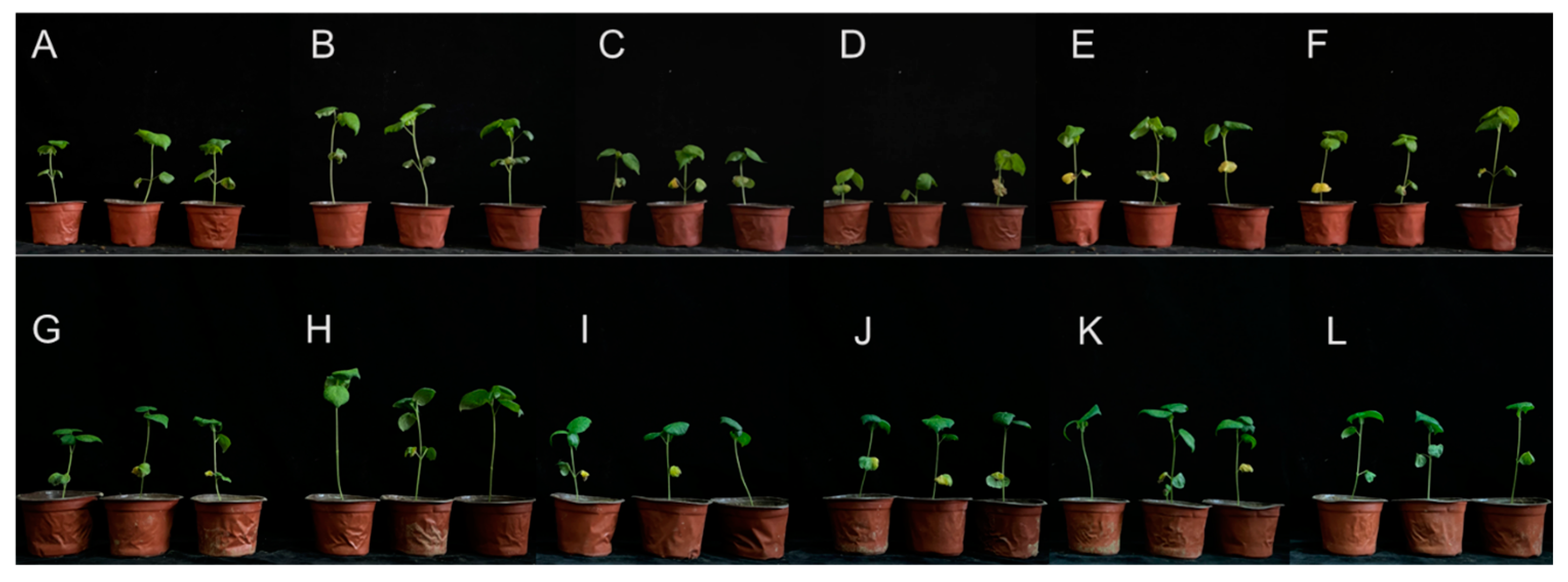 Microorganisms 13 00261 g003