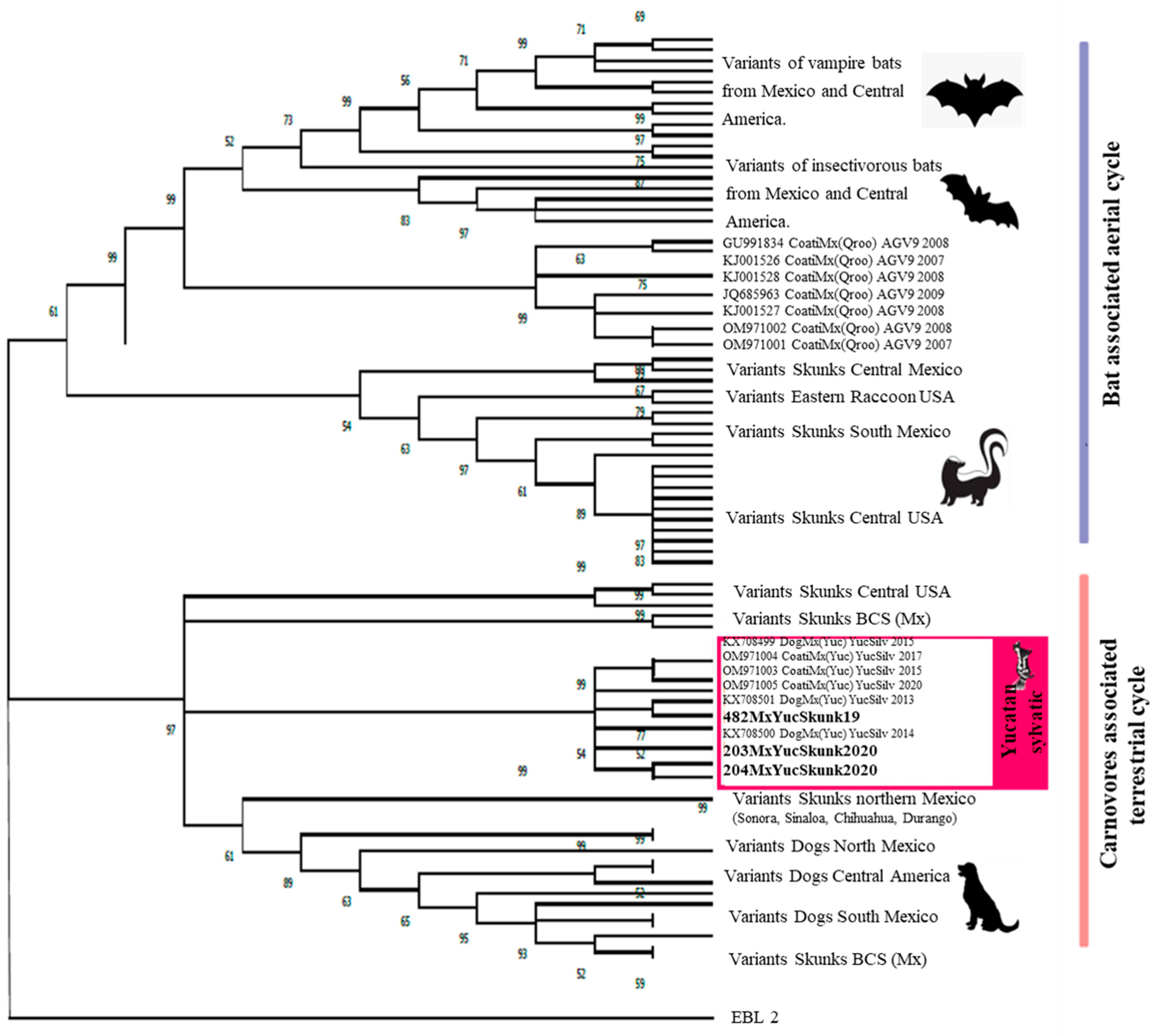 Microorganisms 13 00262 g002