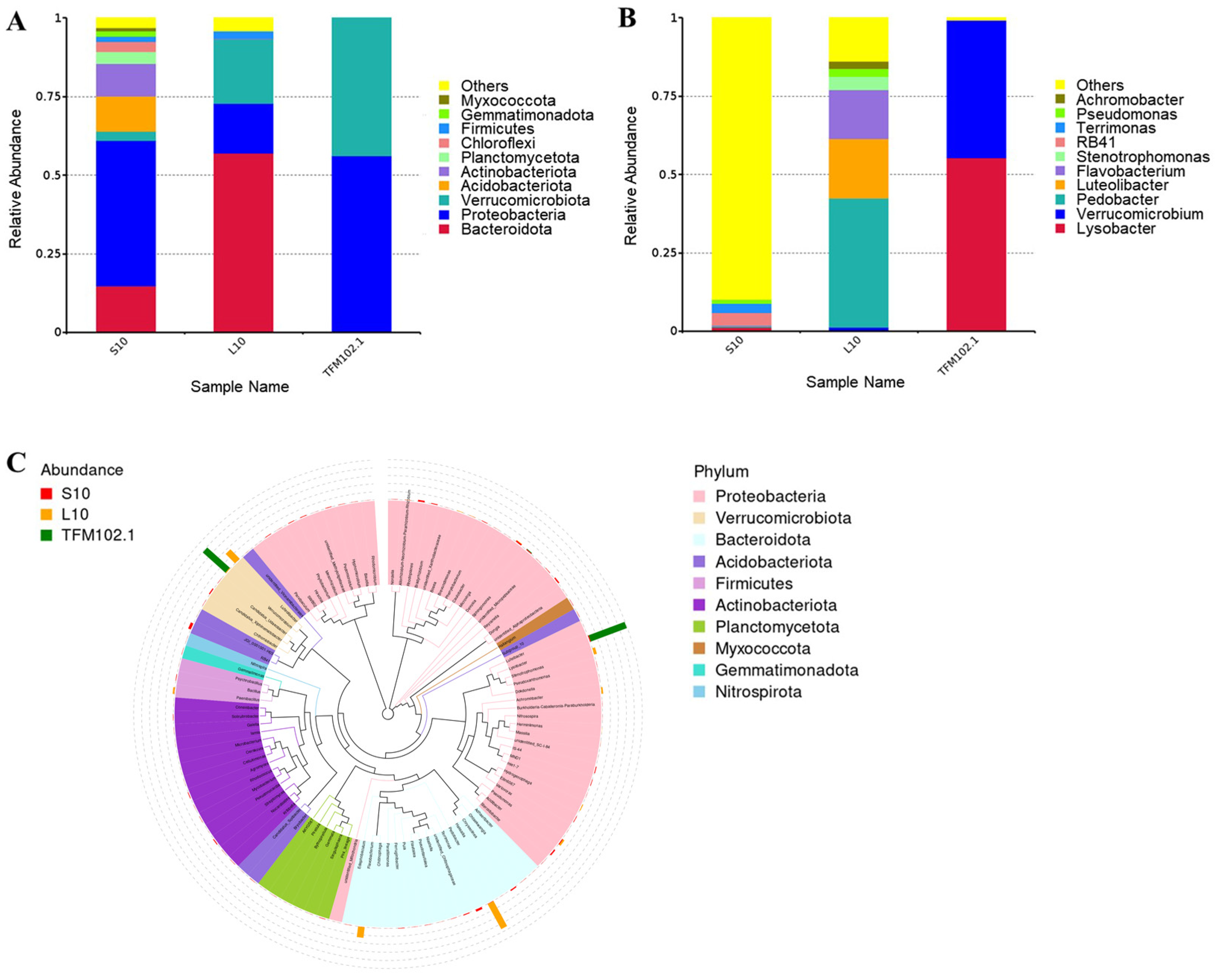 Microorganisms 13 00263 g006