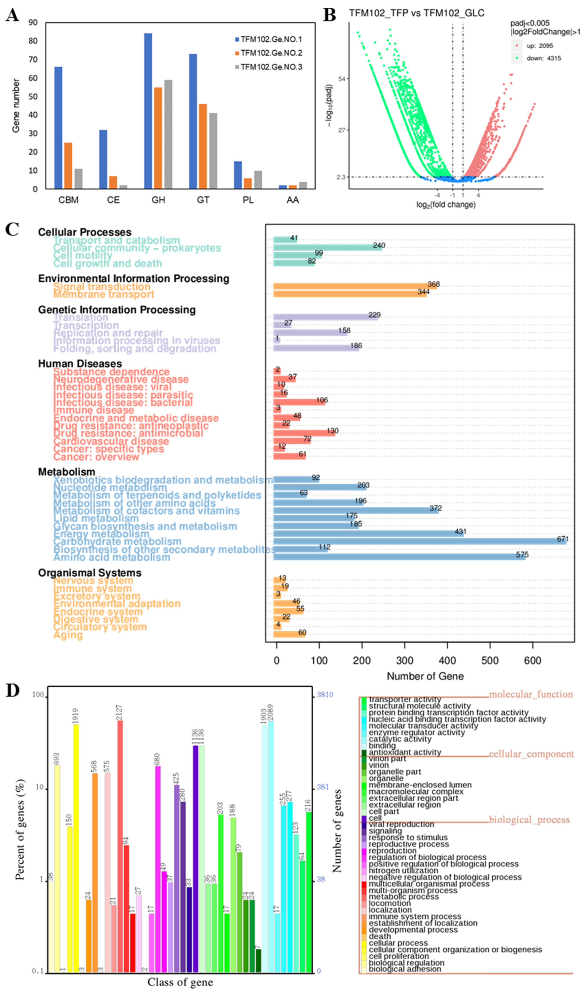 Microorganisms 13 00263 g007