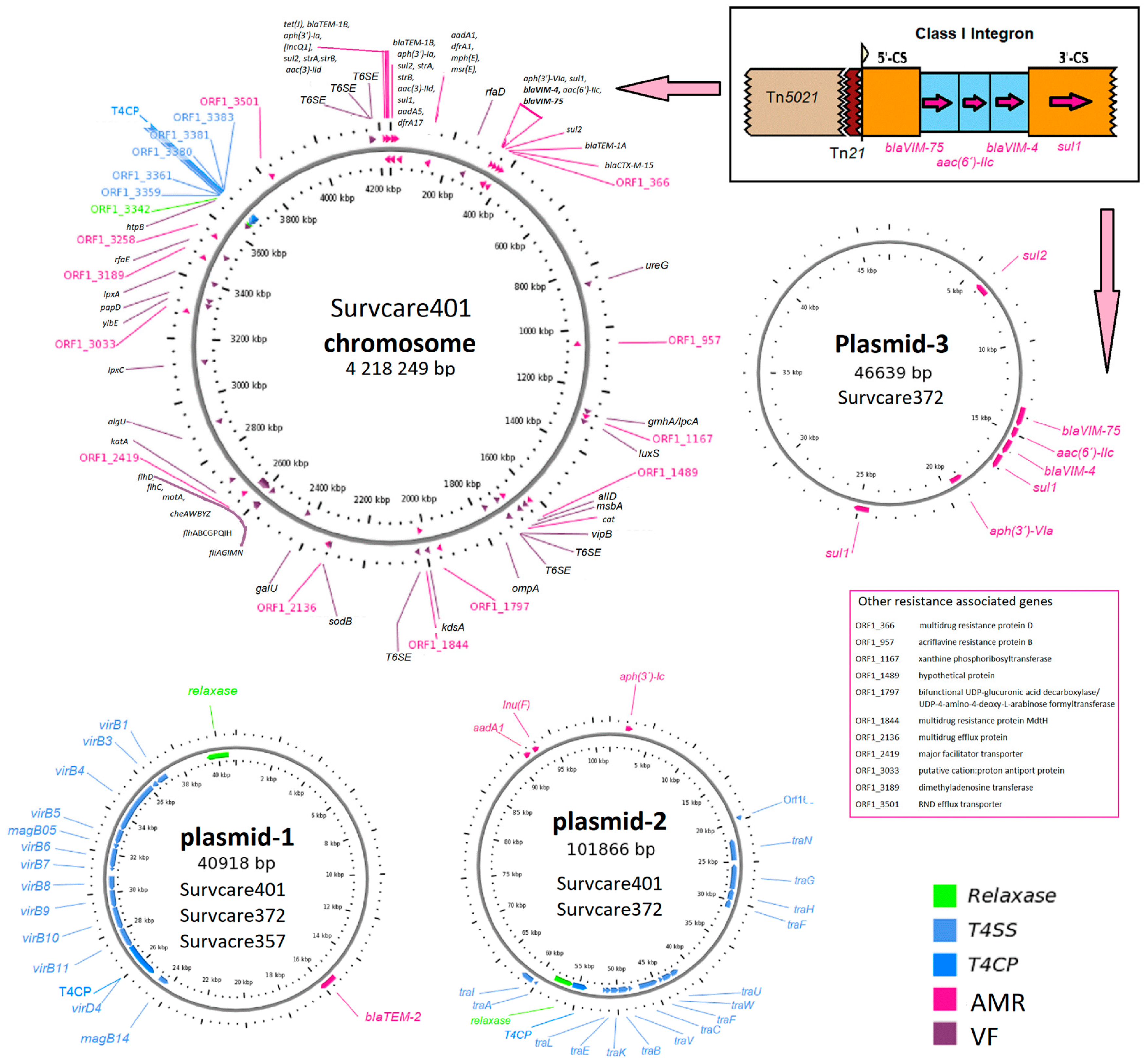 Microorganisms 13 00266 g001