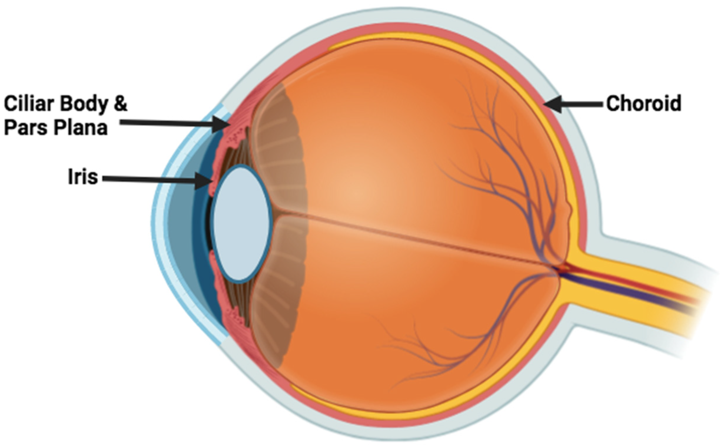 Microorganisms 13 00271 g001