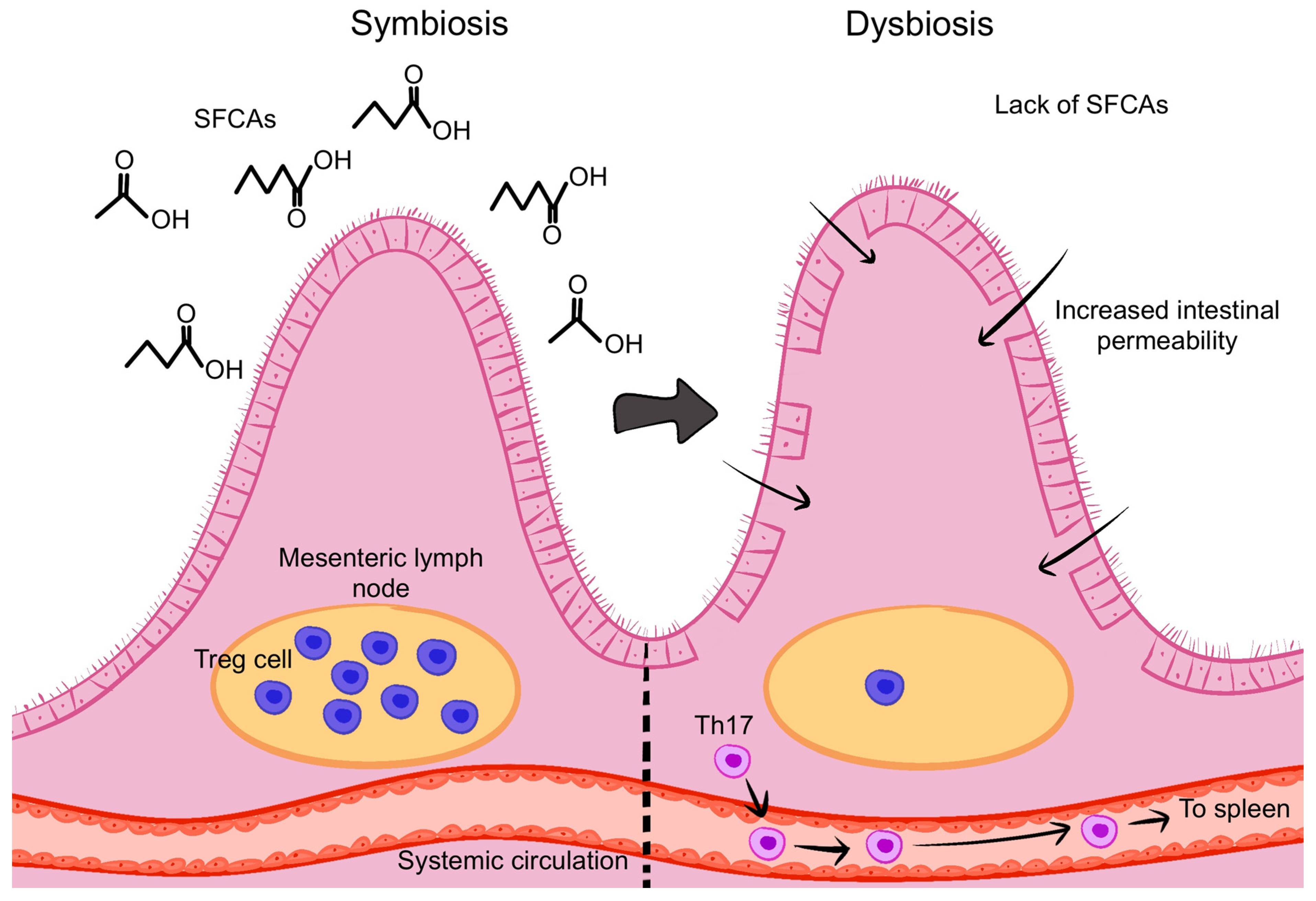 Microorganisms 13 00271 g005