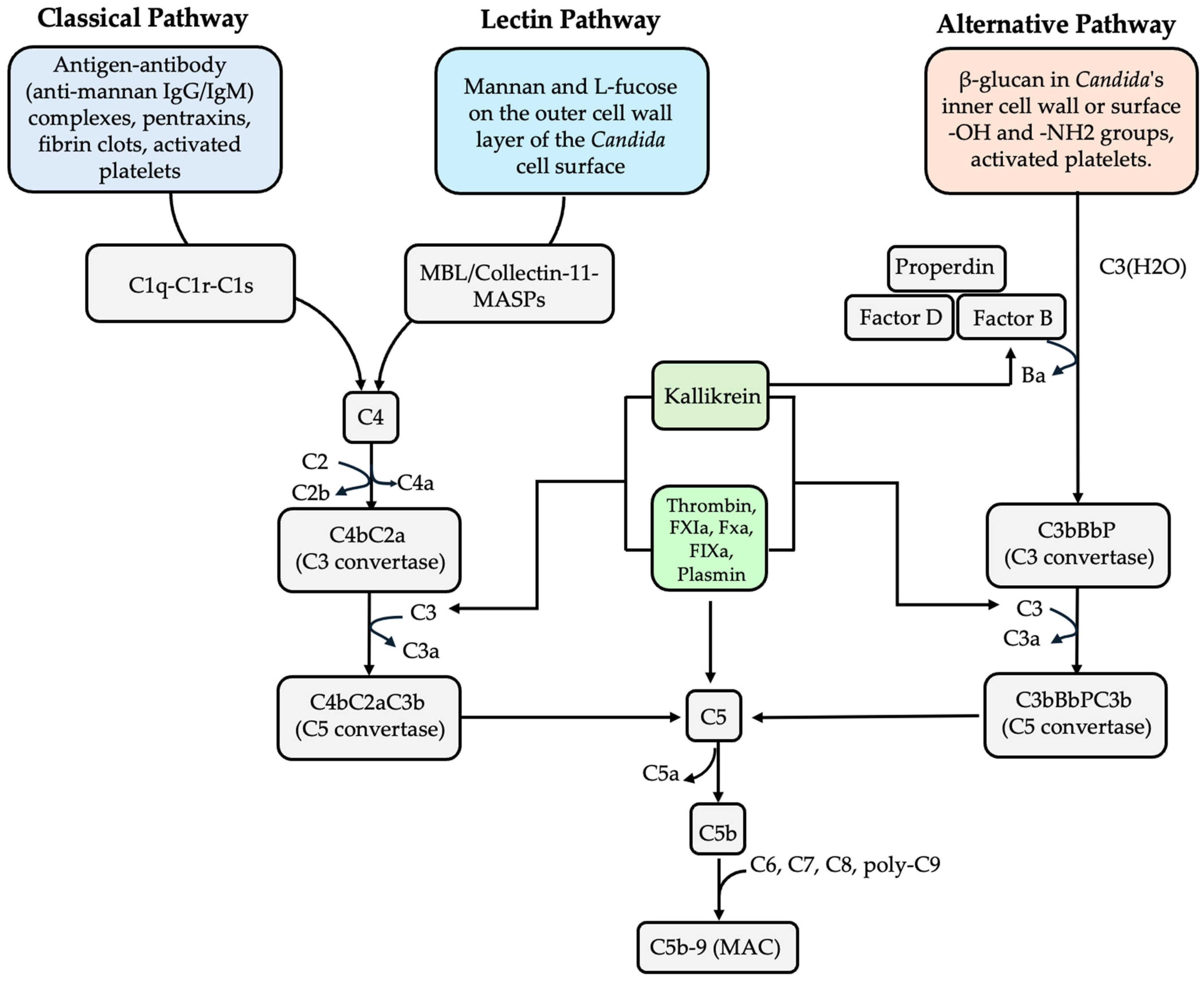 Microorganisms 13 00272 g001