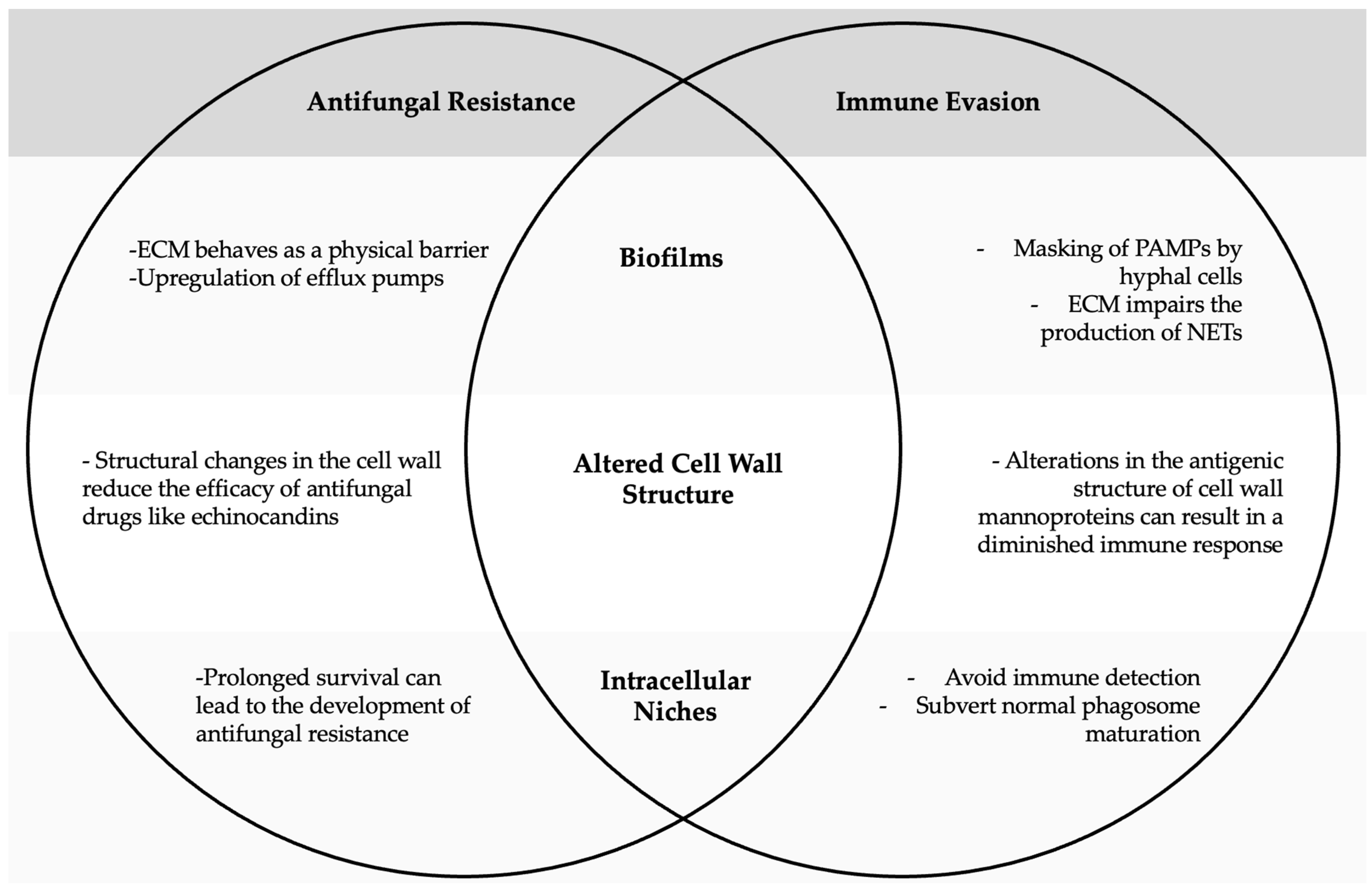 Microorganisms 13 00272 g002