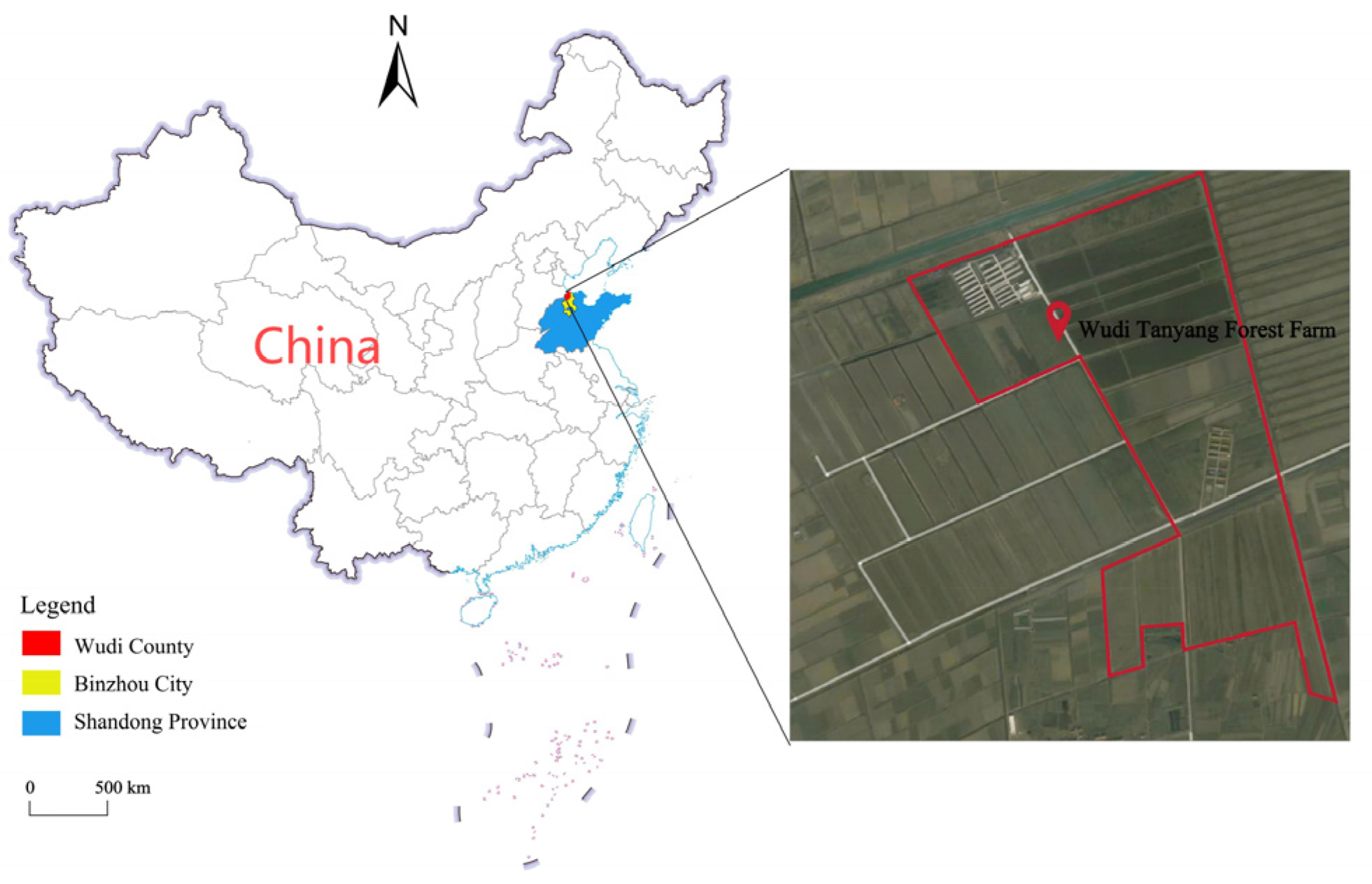 Microorganisms 13 00273 g001