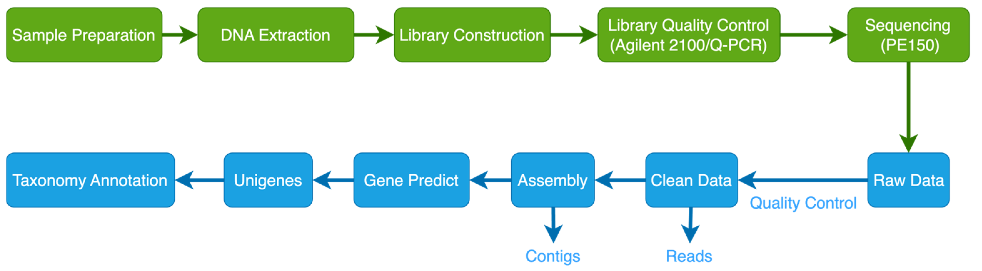 Microorganisms 13 00273 g002