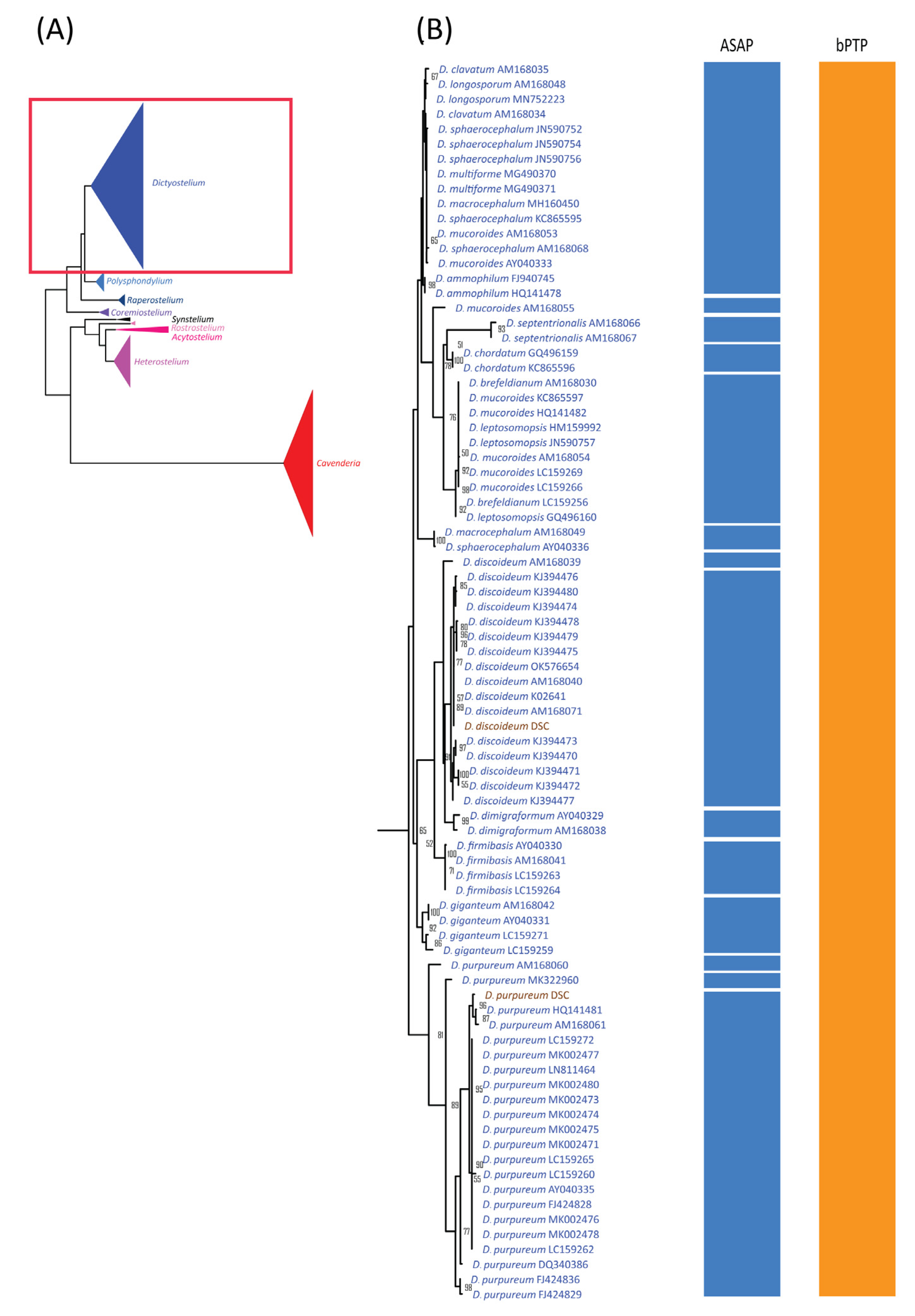 Microorganisms 13 00275 g004
