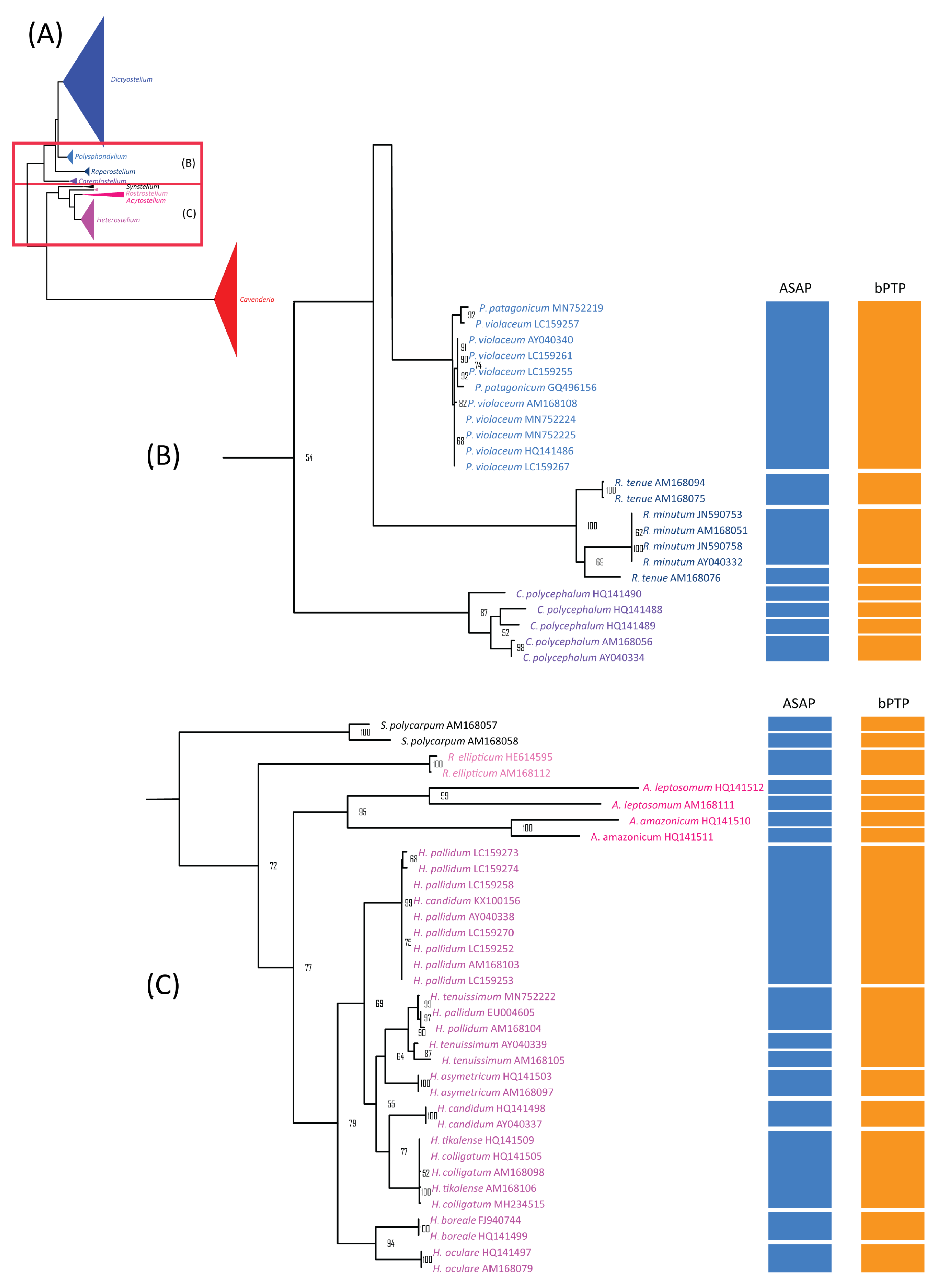 Microorganisms 13 00275 g005