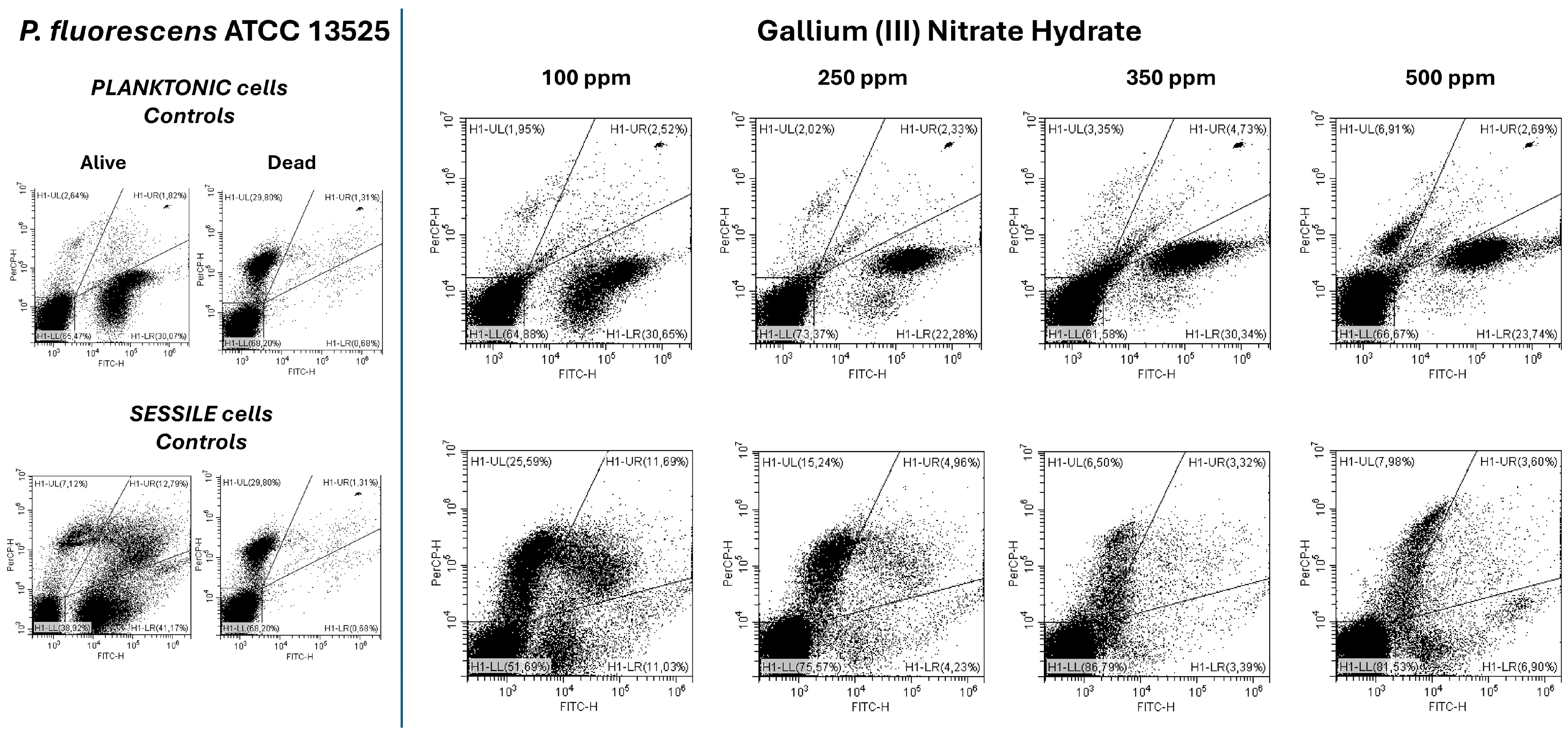 Microorganisms 13 00276 g004