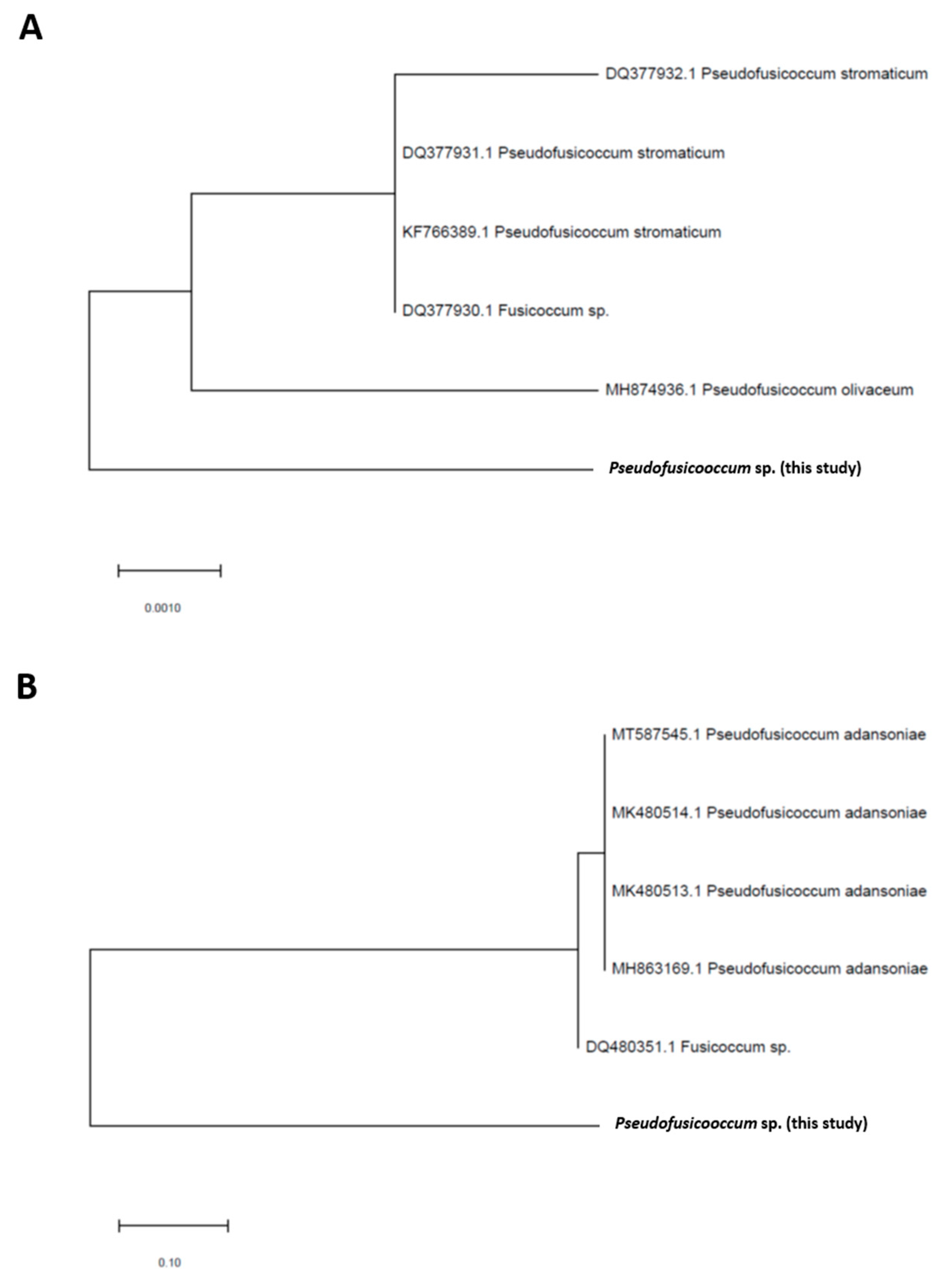 Microorganisms 13 00277 g003 Microorganisms 13 00277 g003