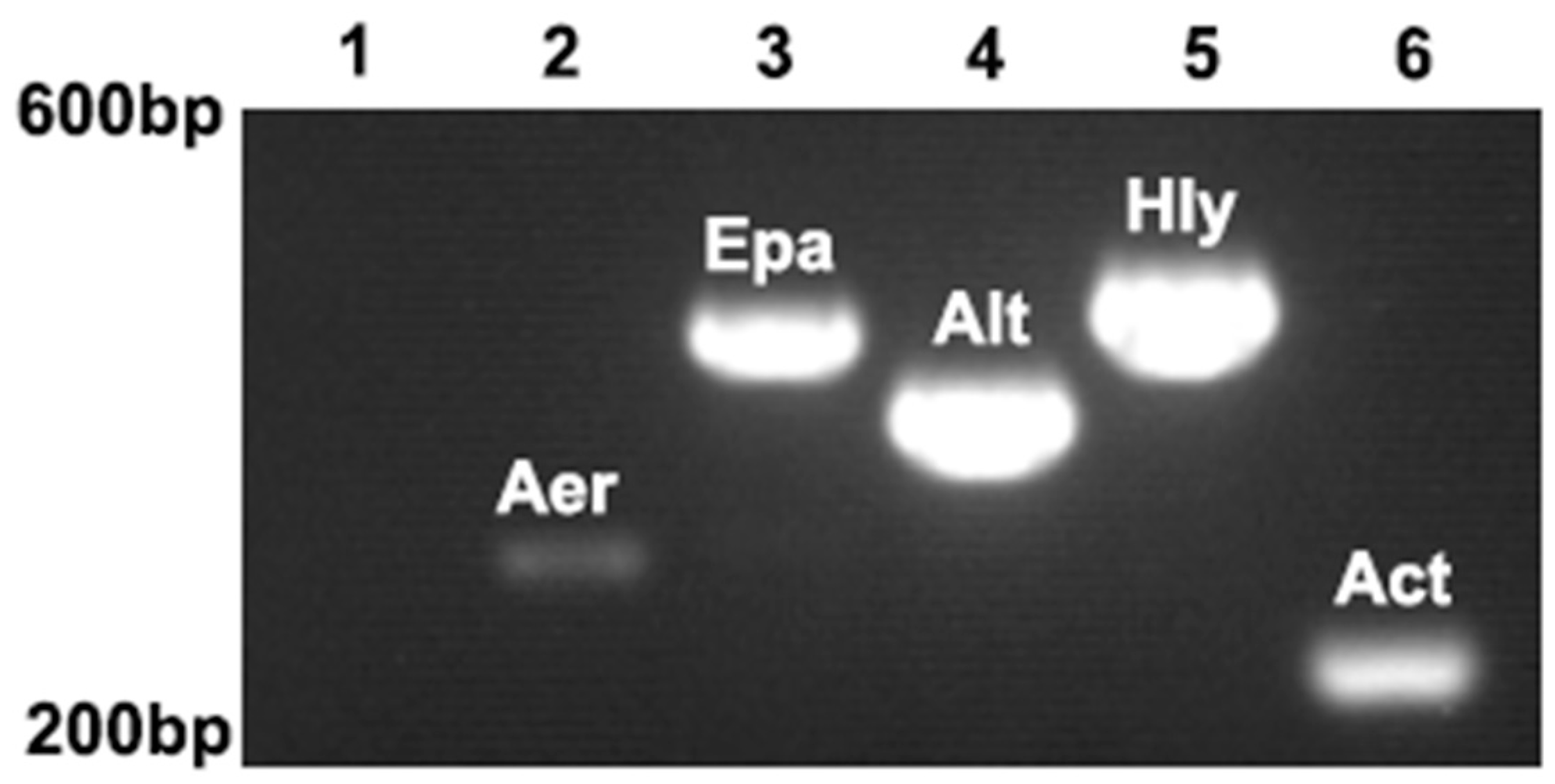 Microorganisms 13 00278 g005 Microorganisms 13 00278 g005