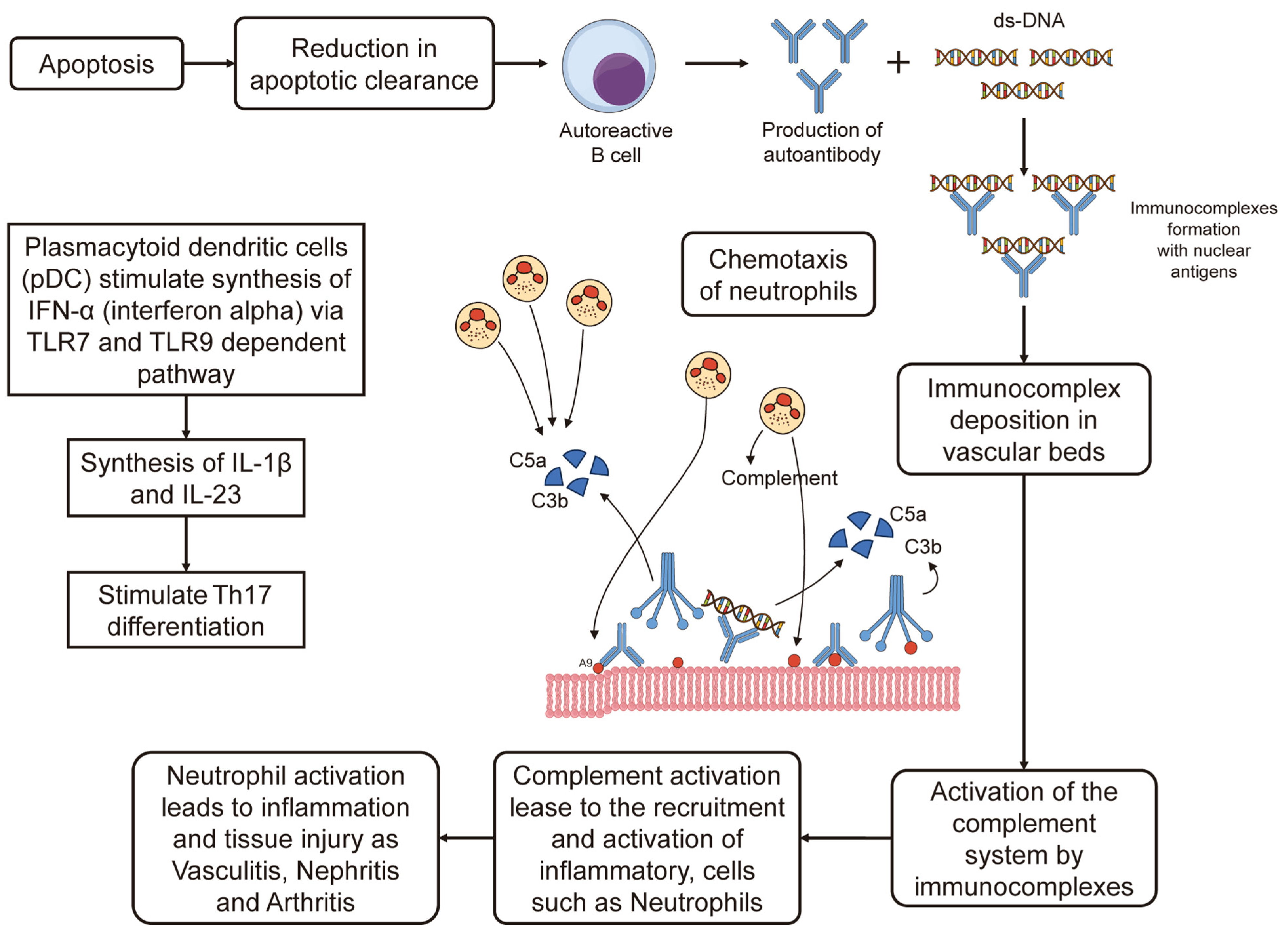 Microorganisms 13 00282 g002
