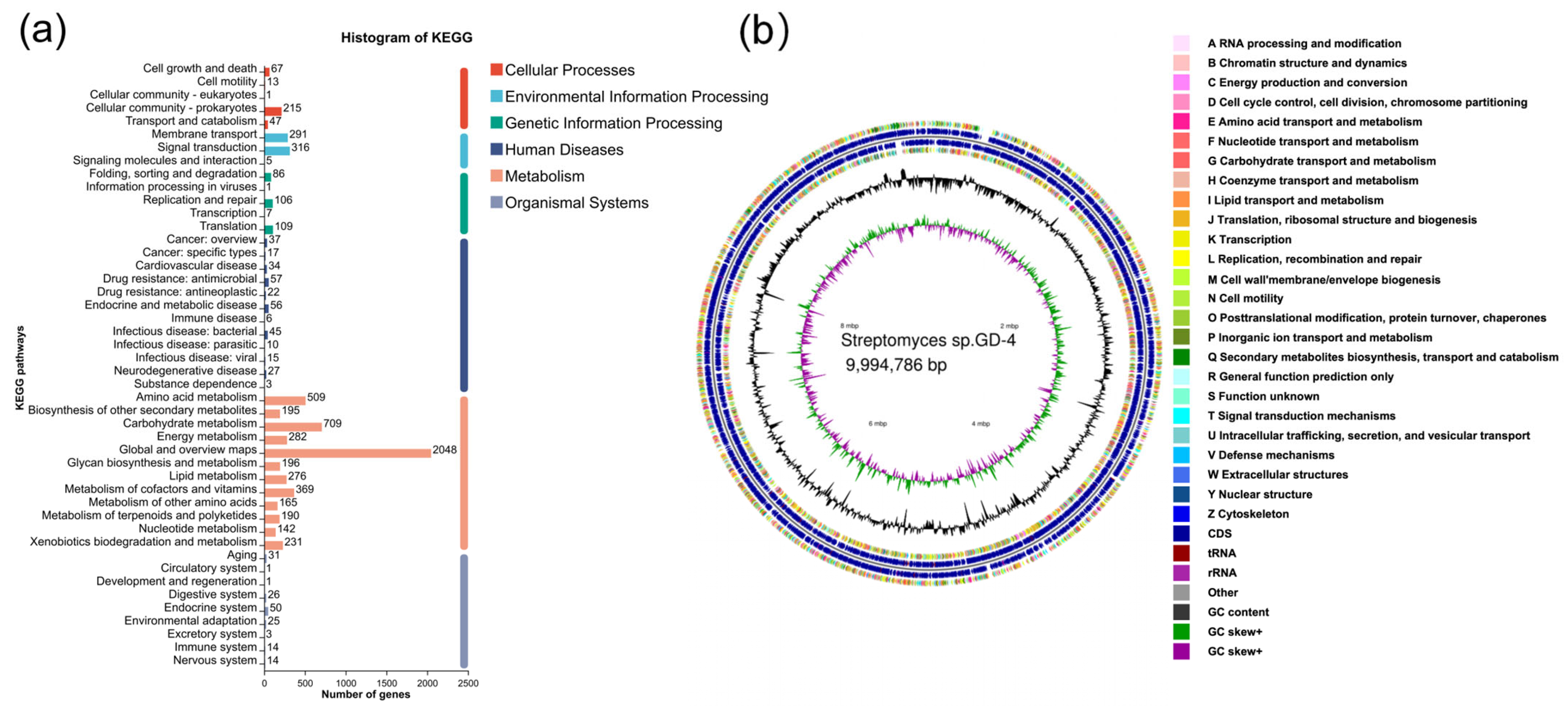 Microorganisms 13 00286 g005