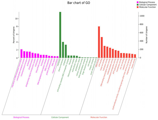 Microorganisms 13 00286 g0a2