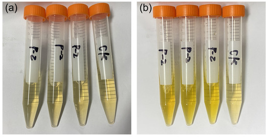 Microorganisms 13 00286 g0a4