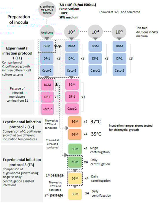 Microorganisms 13 00288 g0a1