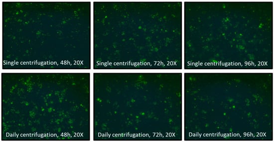 Microorganisms 13 00288 g0a3