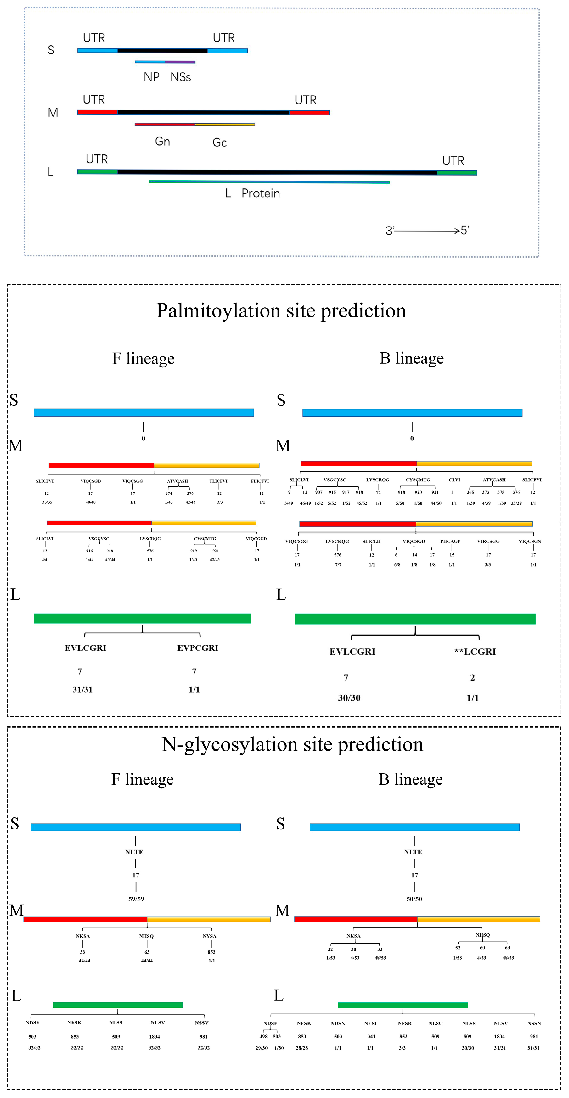 Microorganisms 13 00292 g005