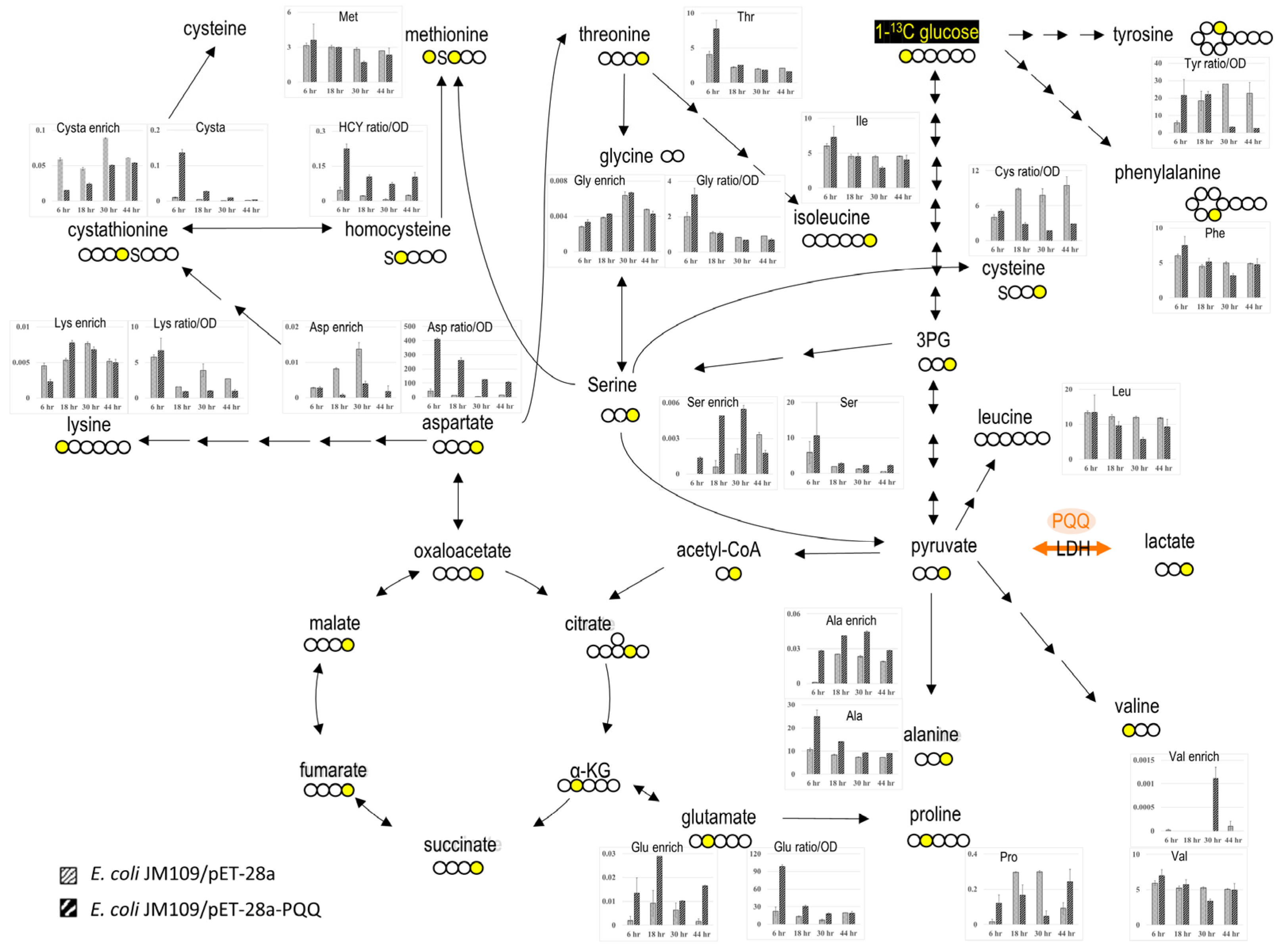 Microorganisms 13 00293 g001 Microorganisms 13 00293 g001