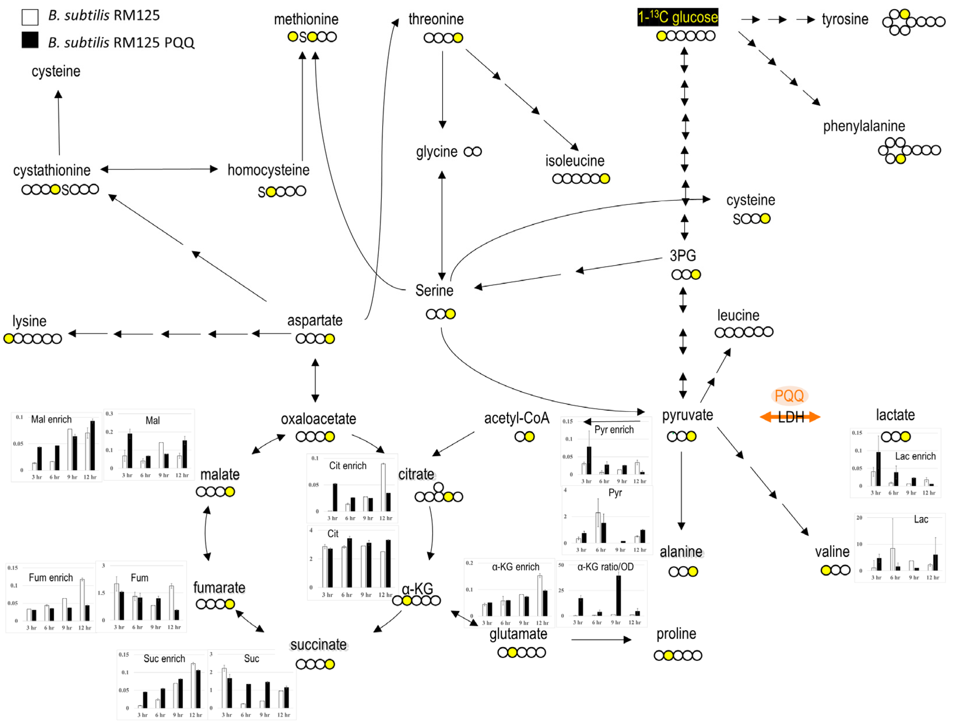 Microorganisms 13 00293 g004 Microorganisms 13 00293 g004