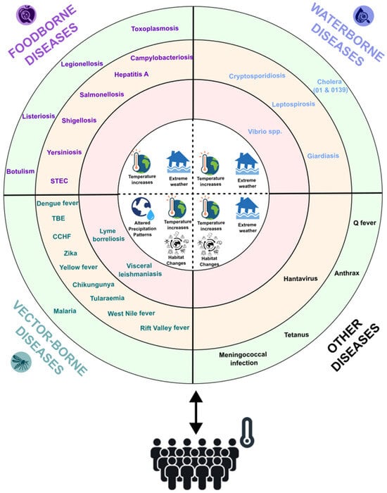 Microorganisms 13 00294 g001