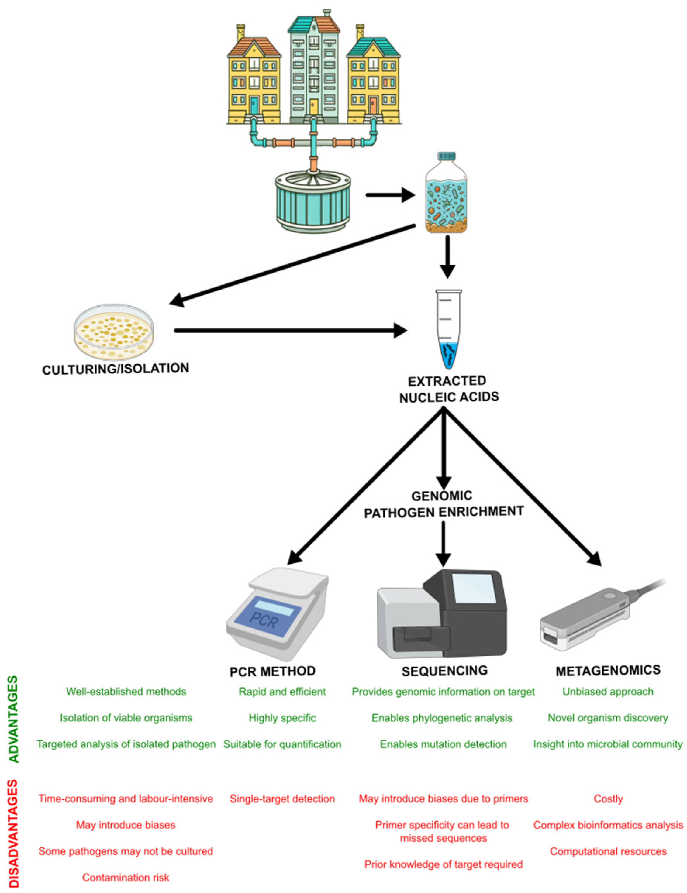Microorganisms 13 00294 g002 Microorganisms 13 00294 g002