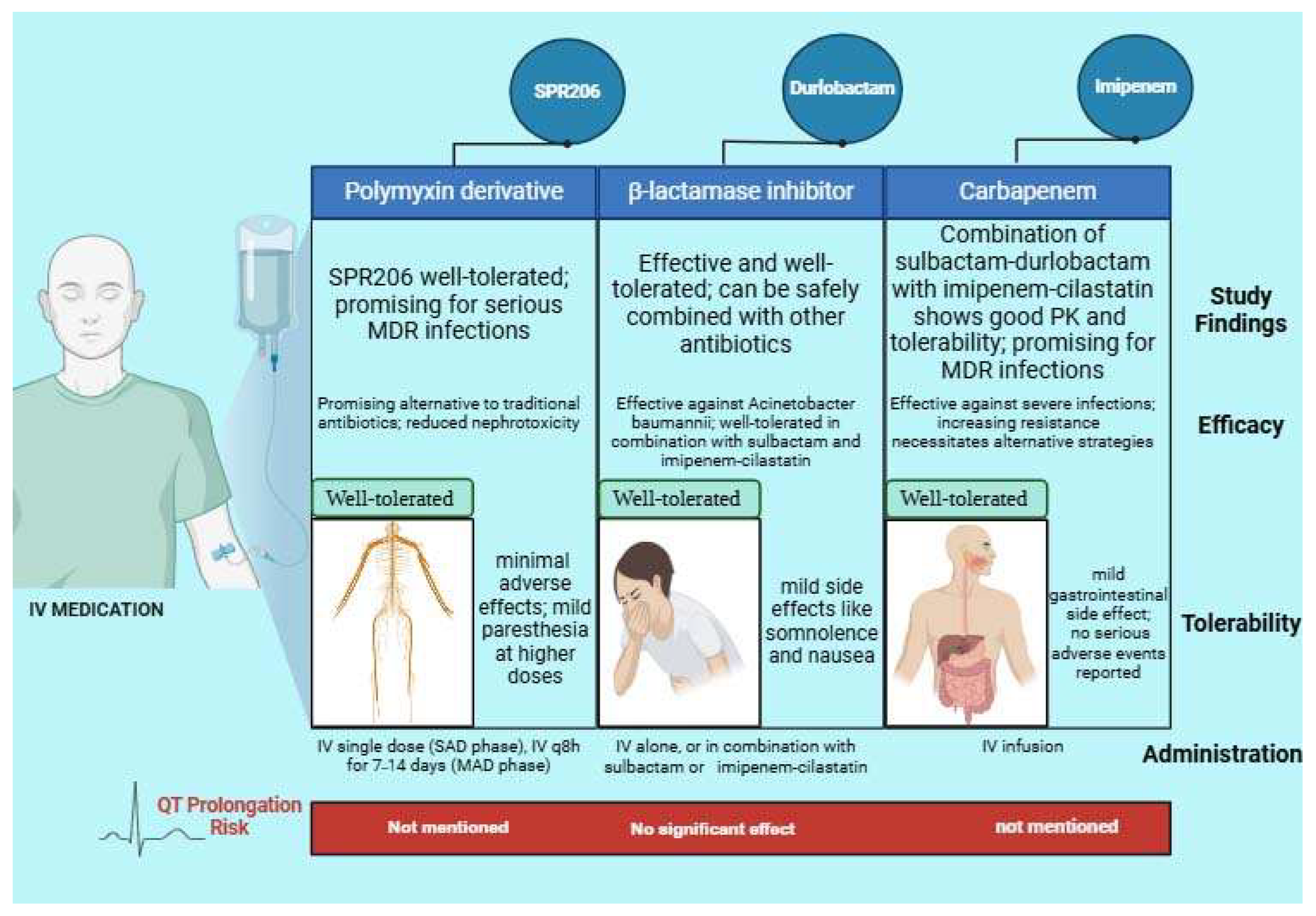 Microorganisms 13 00295 g001