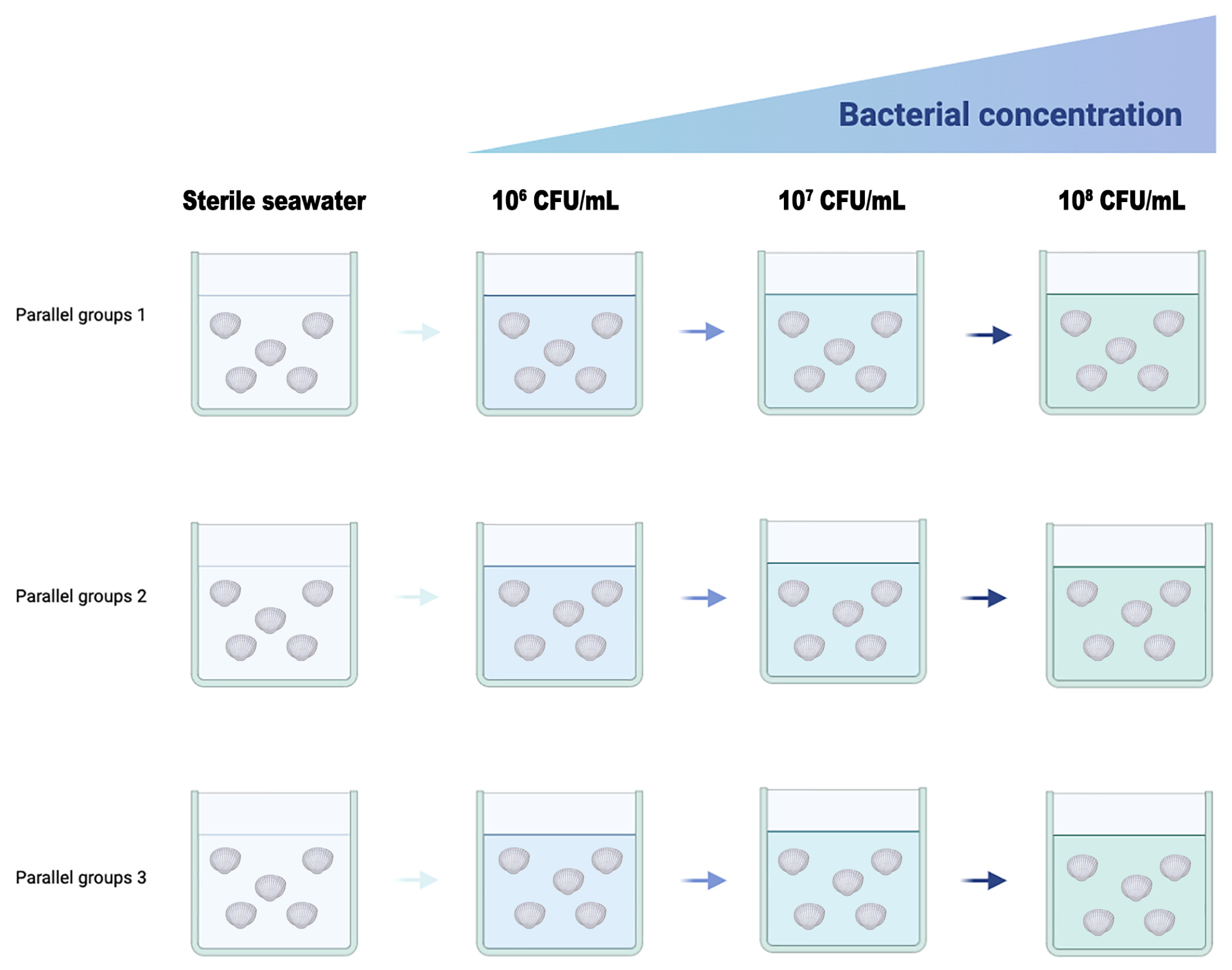 Microorganisms 13 00296 g001
