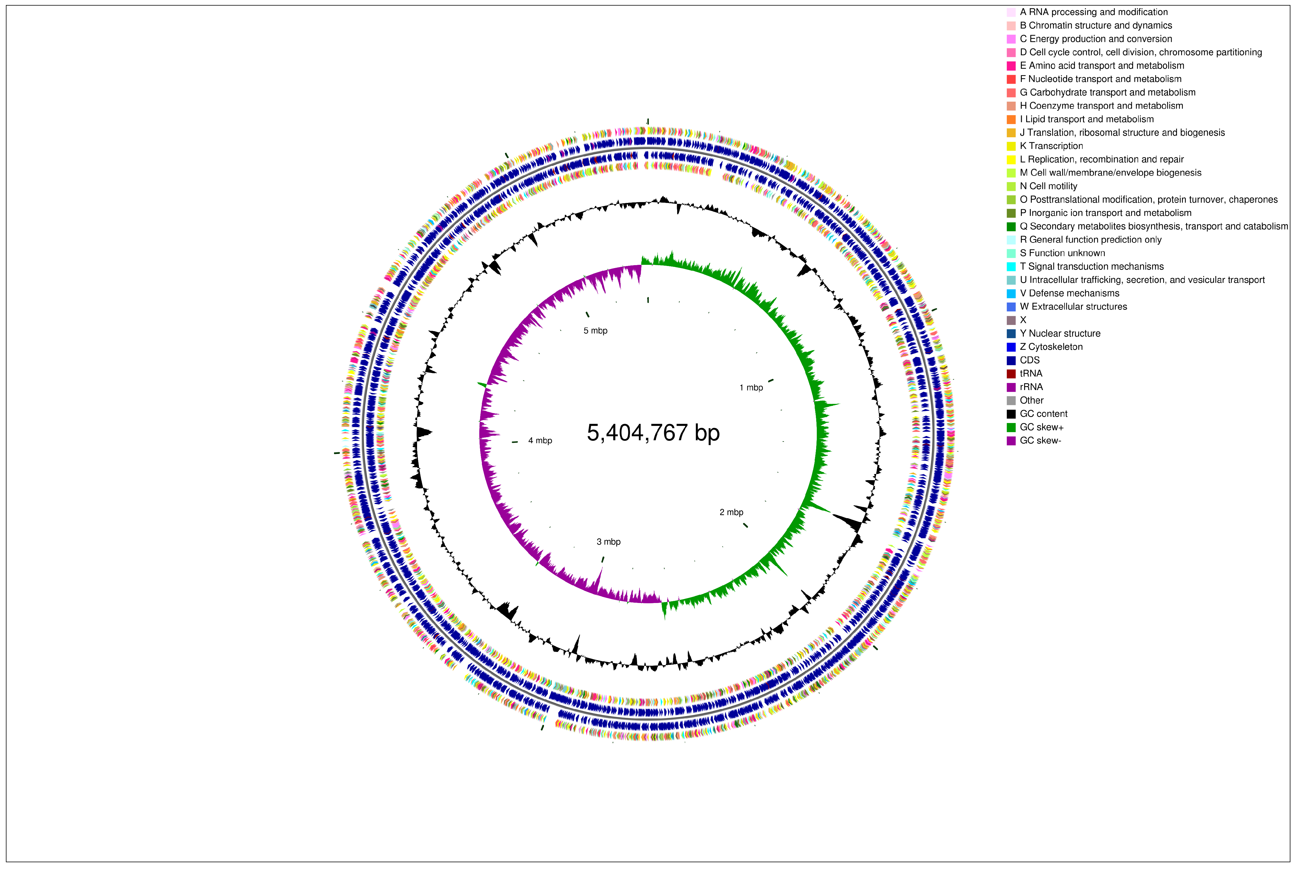 Microorganisms 13 00297 g005