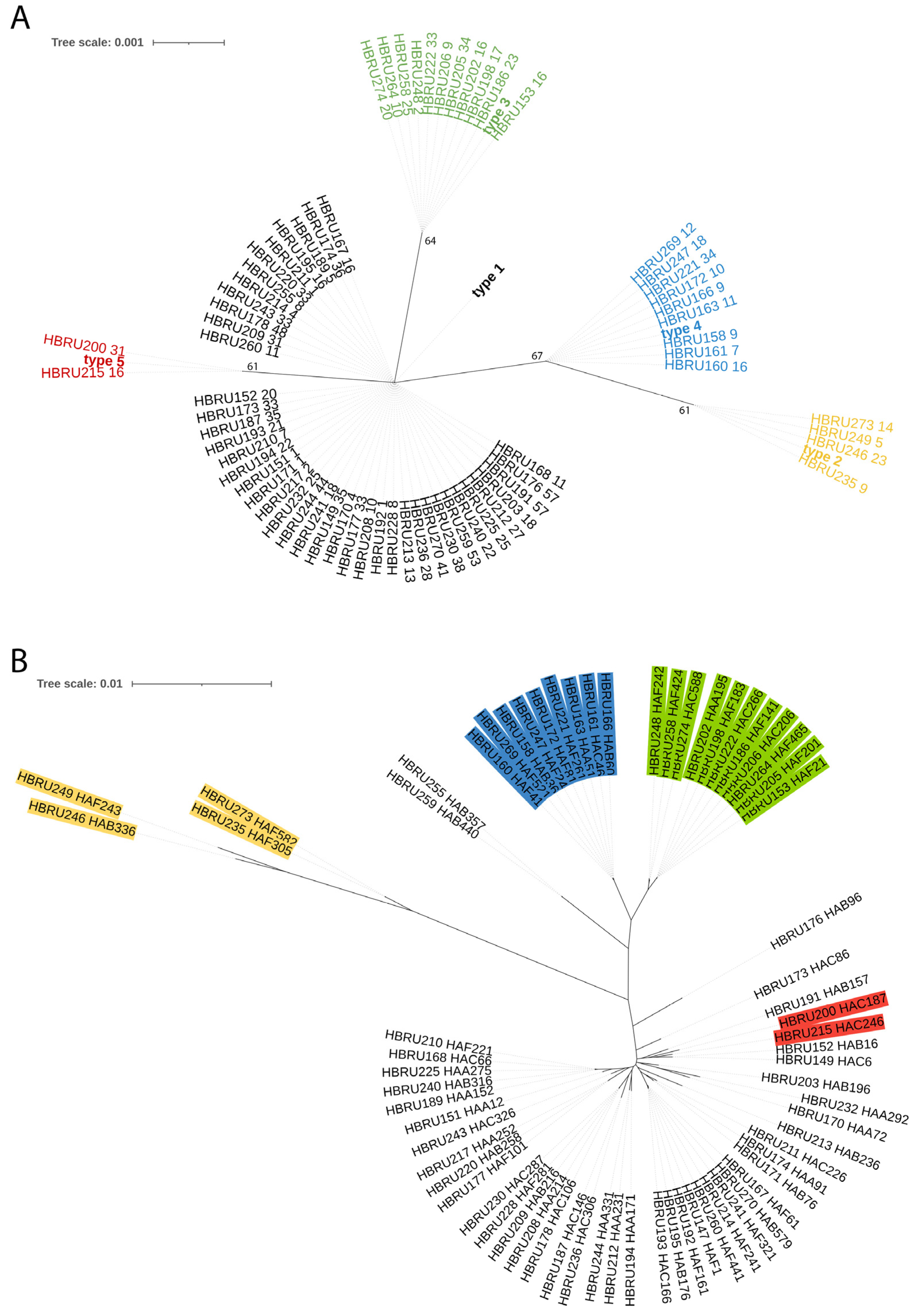 Microorganisms 13 00299 g003
