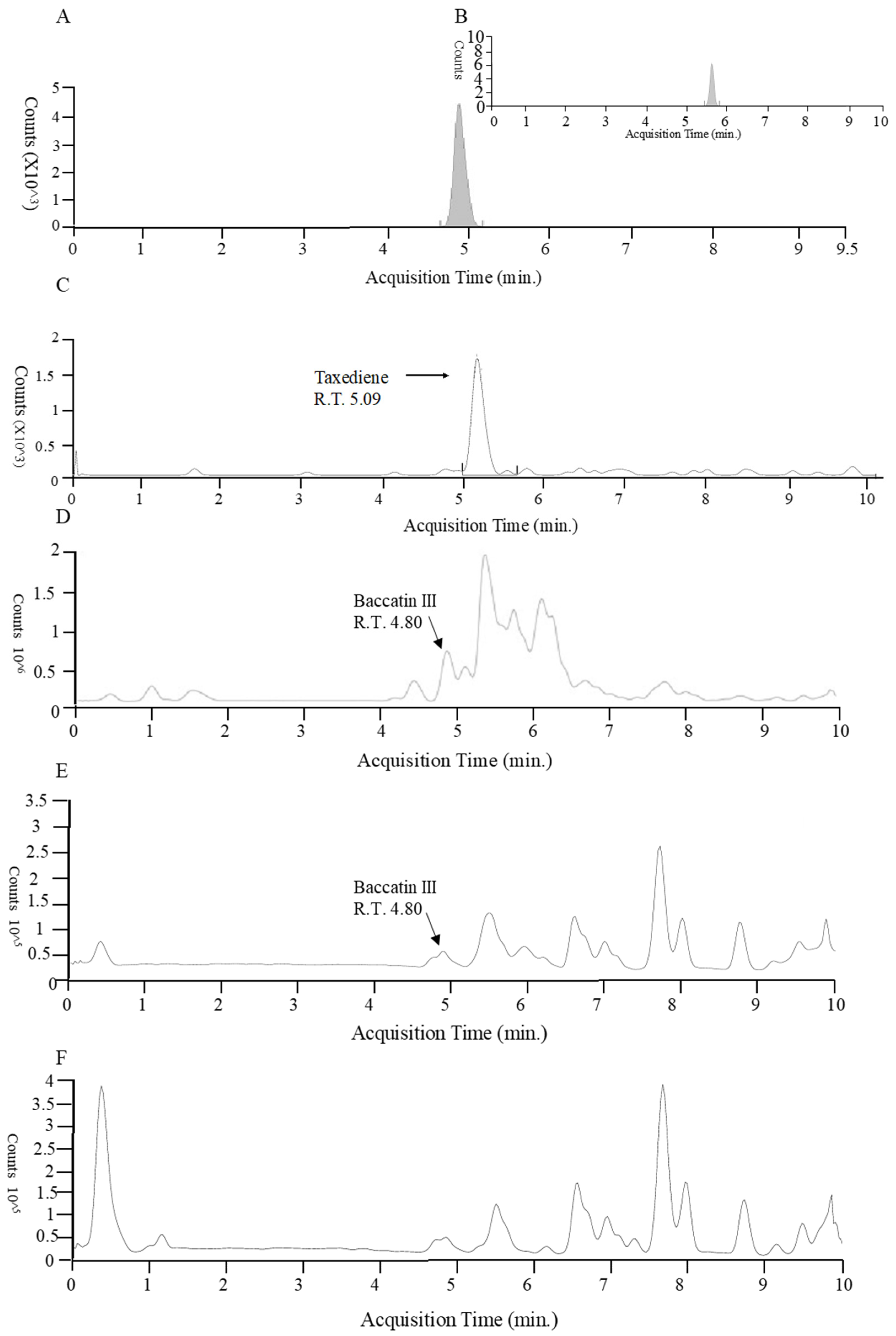 Microorganisms 13 00300 g002