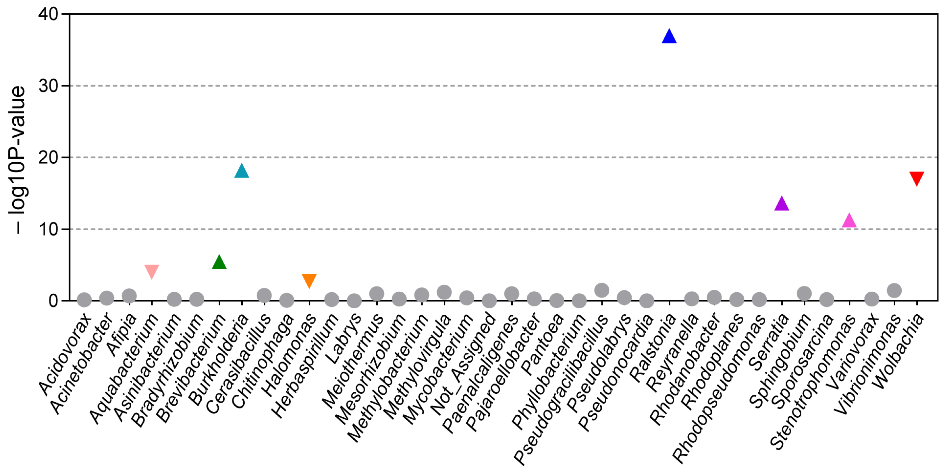 Microorganisms 13 00302 g004
