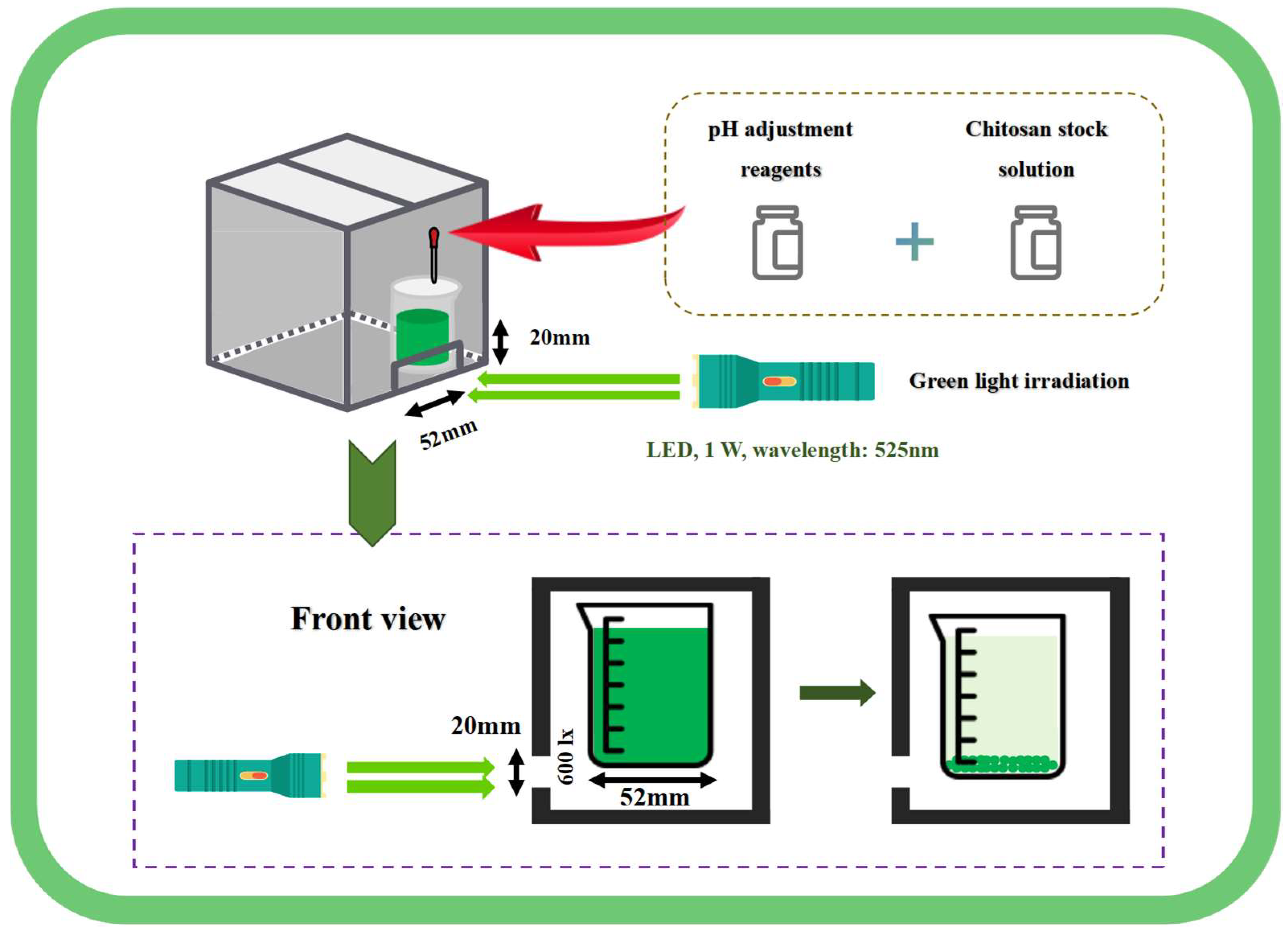 Microorganisms 13 00303 g001