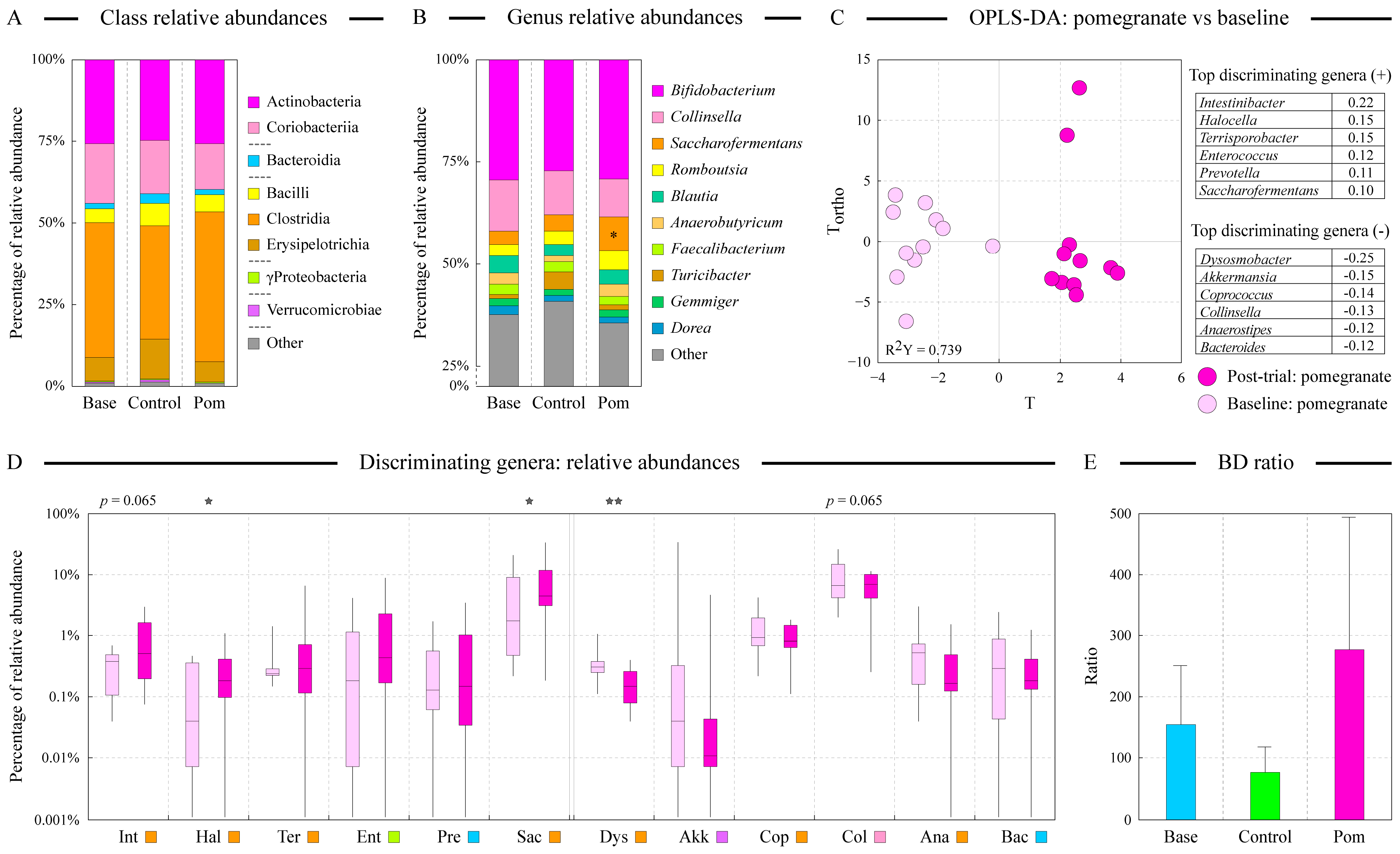 Microorganisms 13 00305 g003