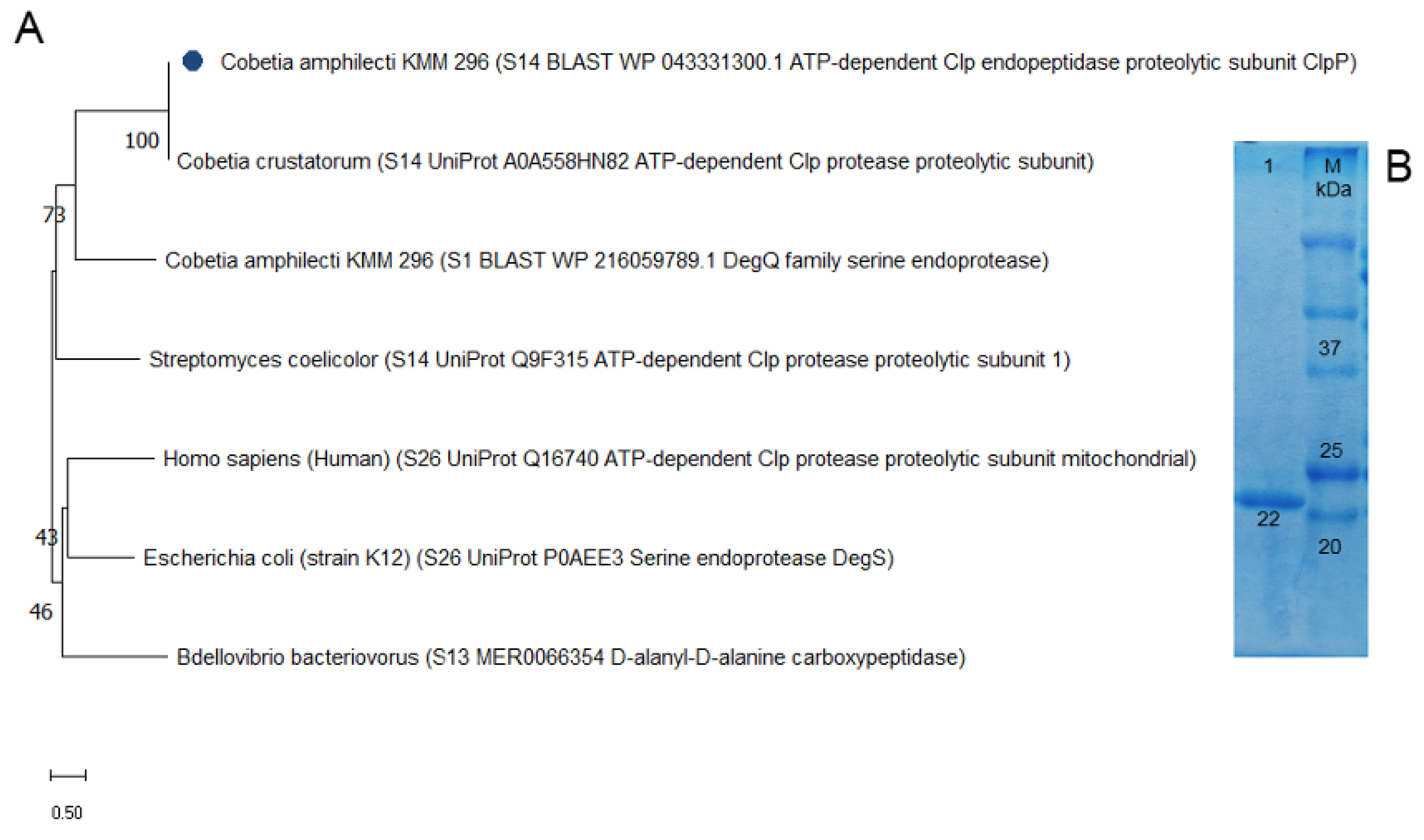 Microorganisms 13 00307 g001