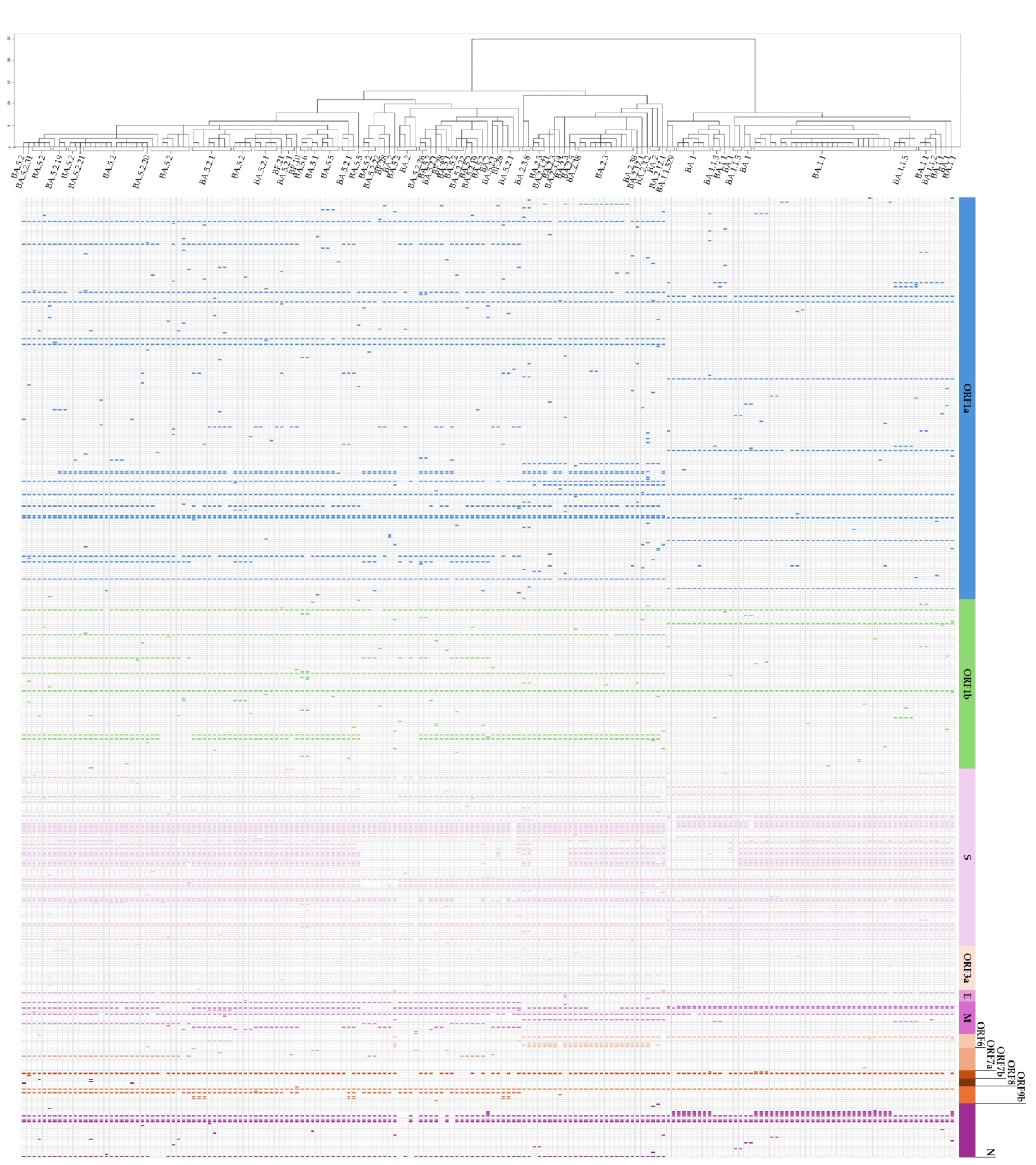 Microorganisms 13 00311 g004