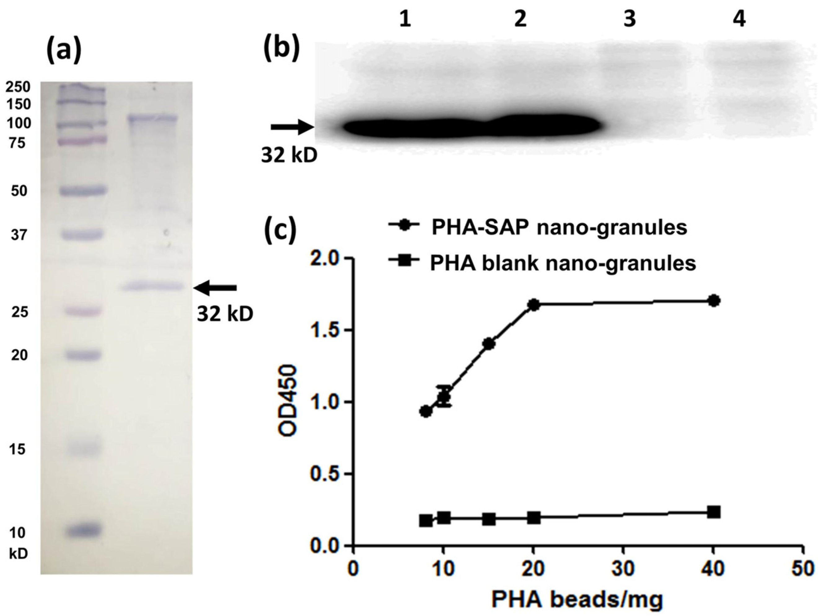 Microorganisms 13 00312 g004