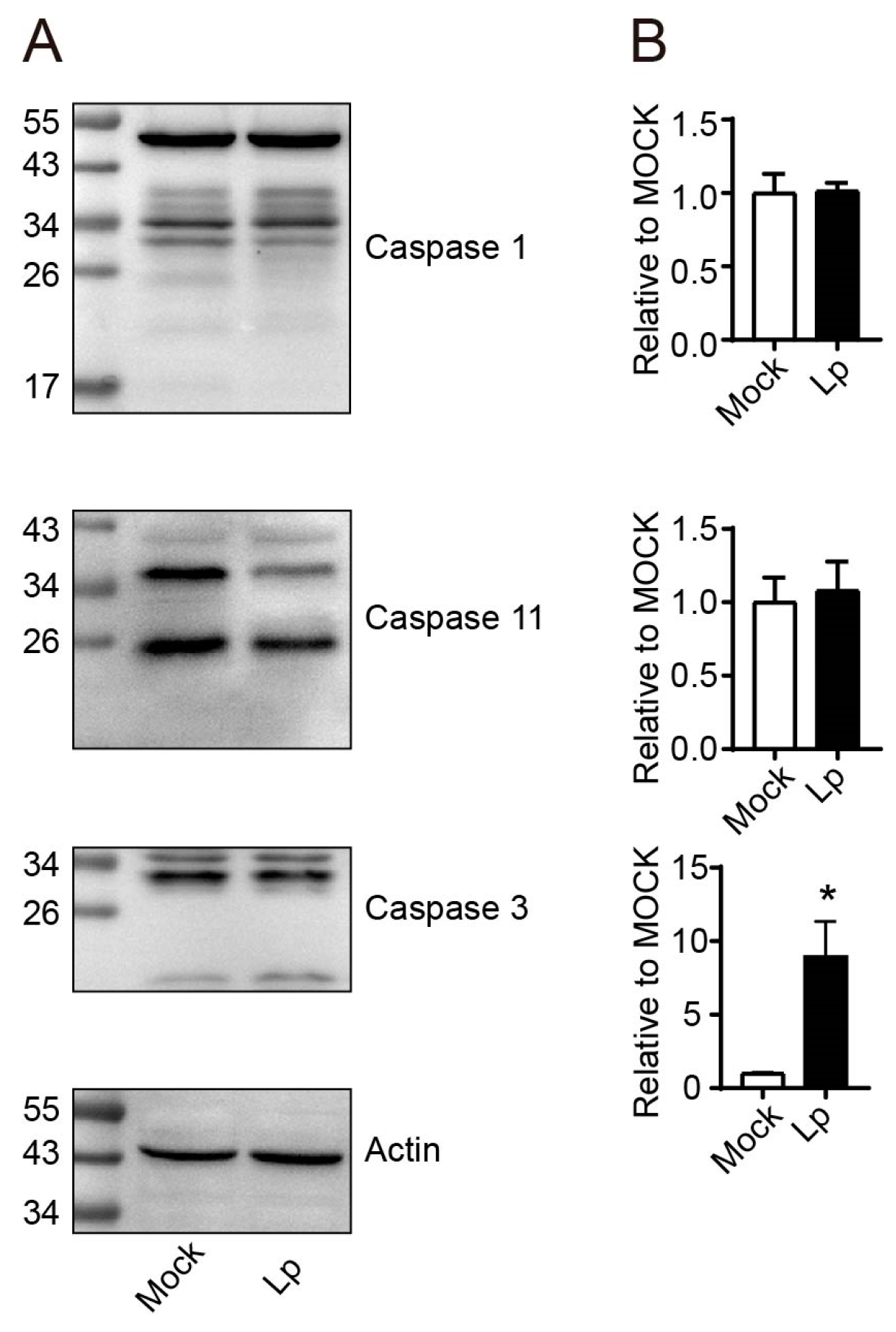 Microorganisms 13 00313 g003