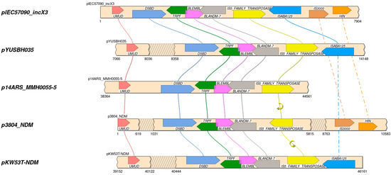 Microorganisms 13 00314 g002