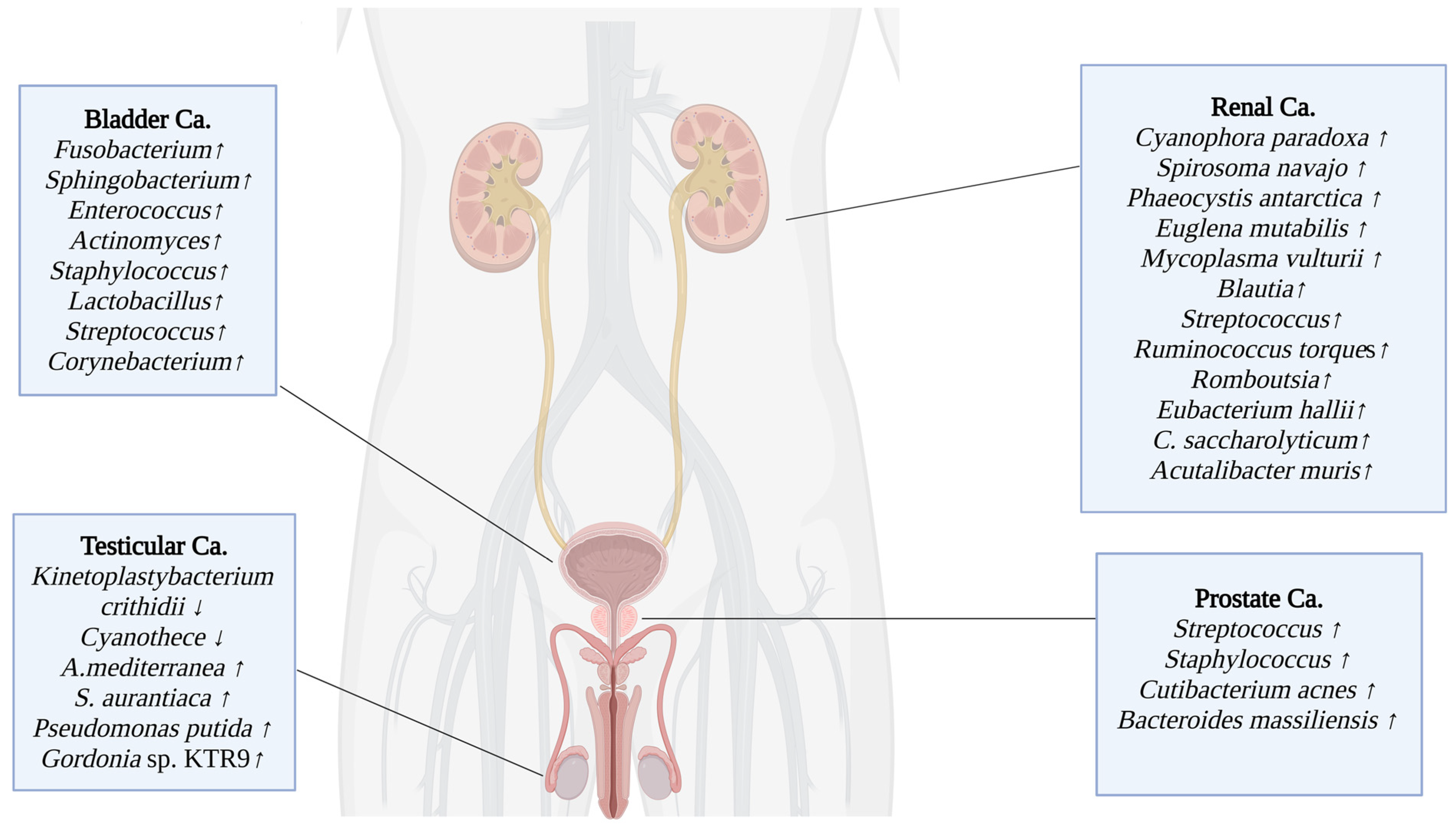 Microorganisms 13 00315 g001 Microorganisms 13 00315 g001