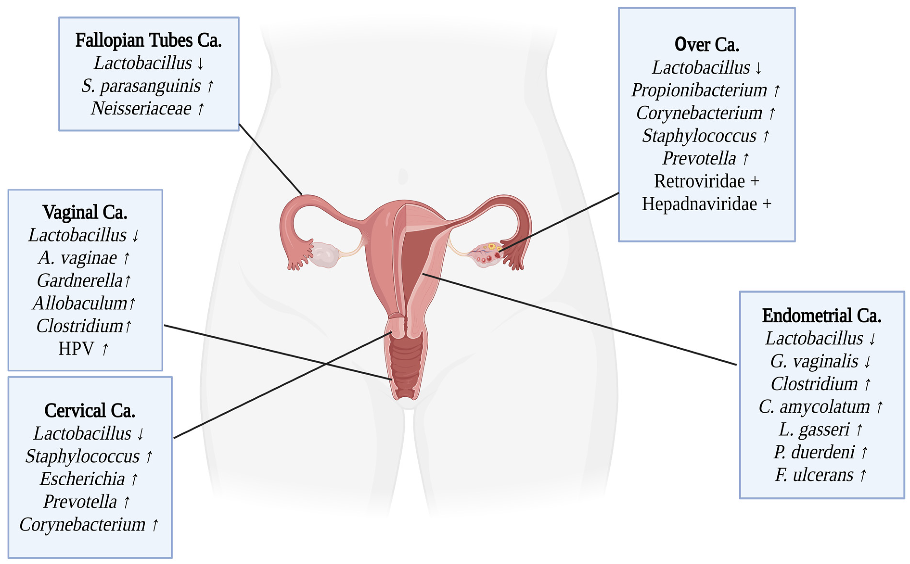 Microorganisms 13 00315 g002 Microorganisms 13 00315 g002