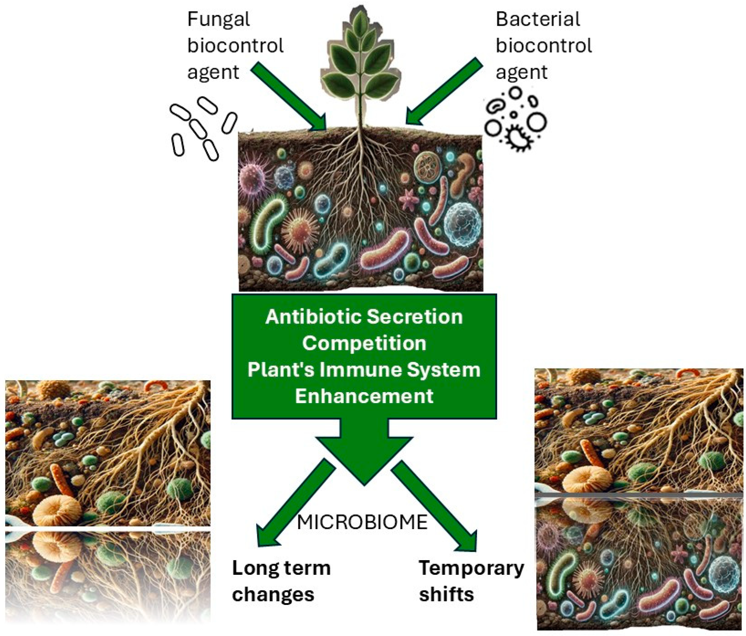 Microorganisms 13 00323 g001