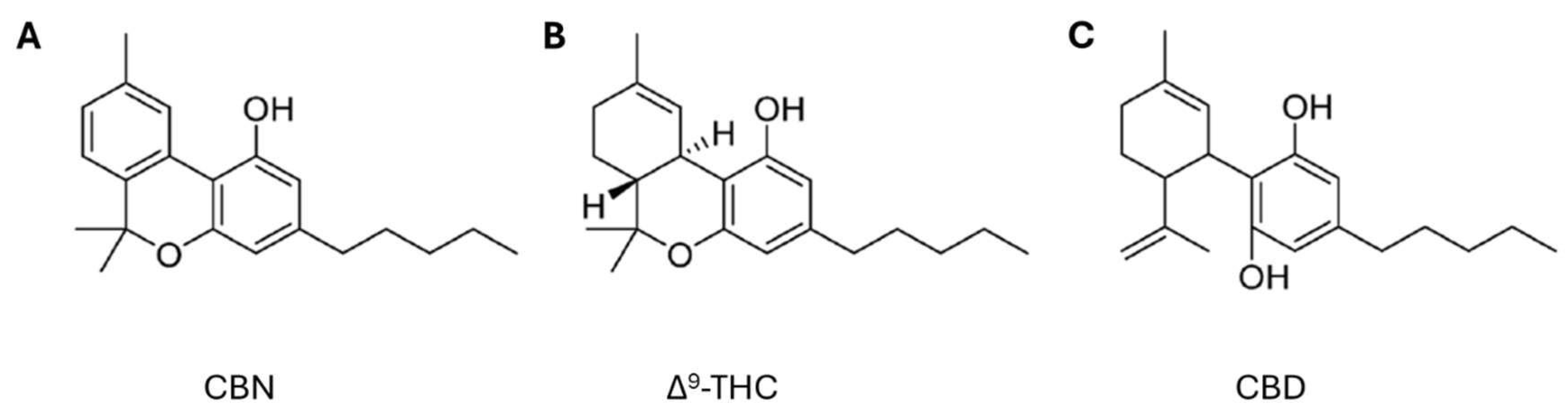 Microorganisms 13 00325 g001