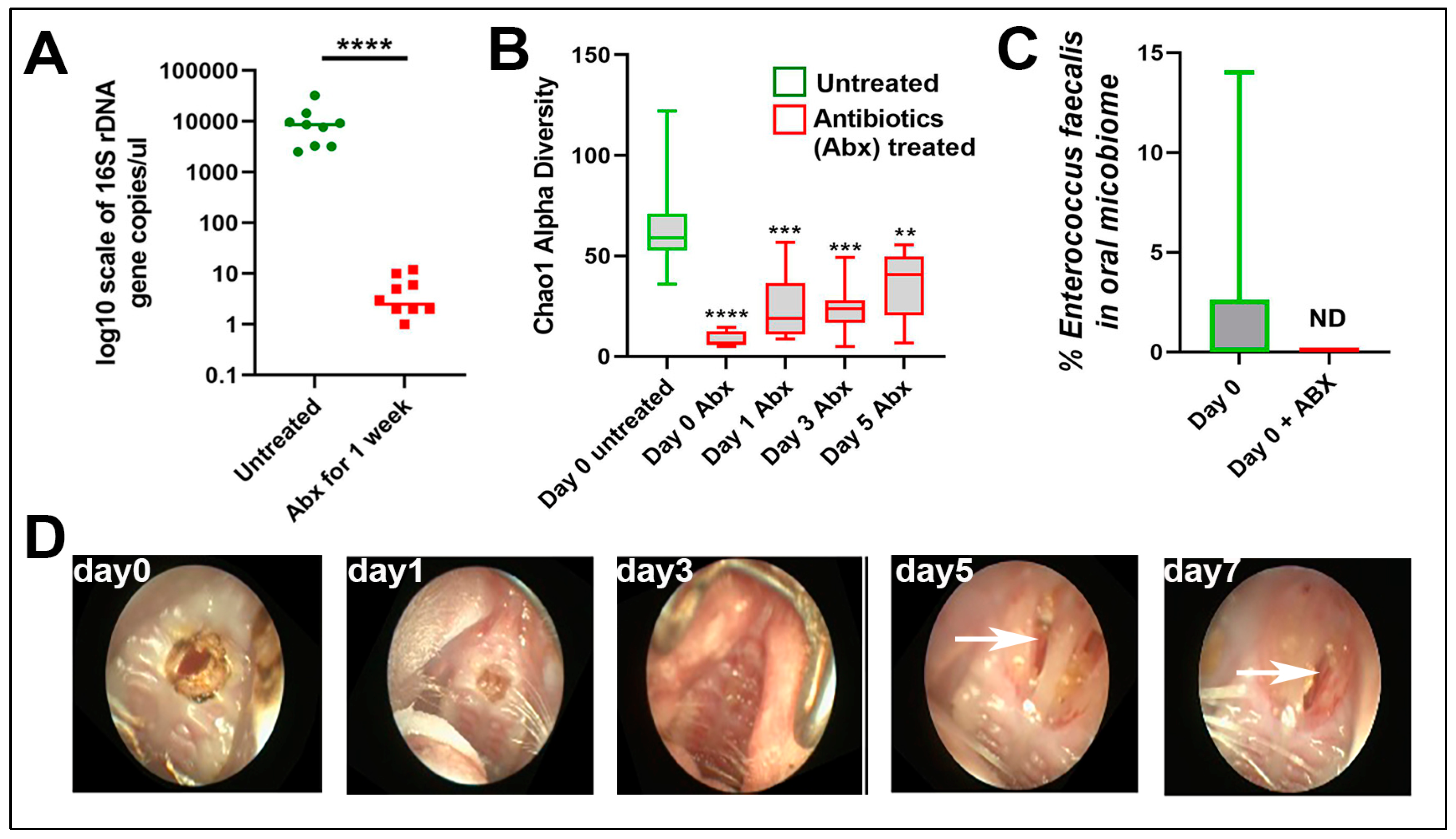 Microorganisms 13 00327 g003