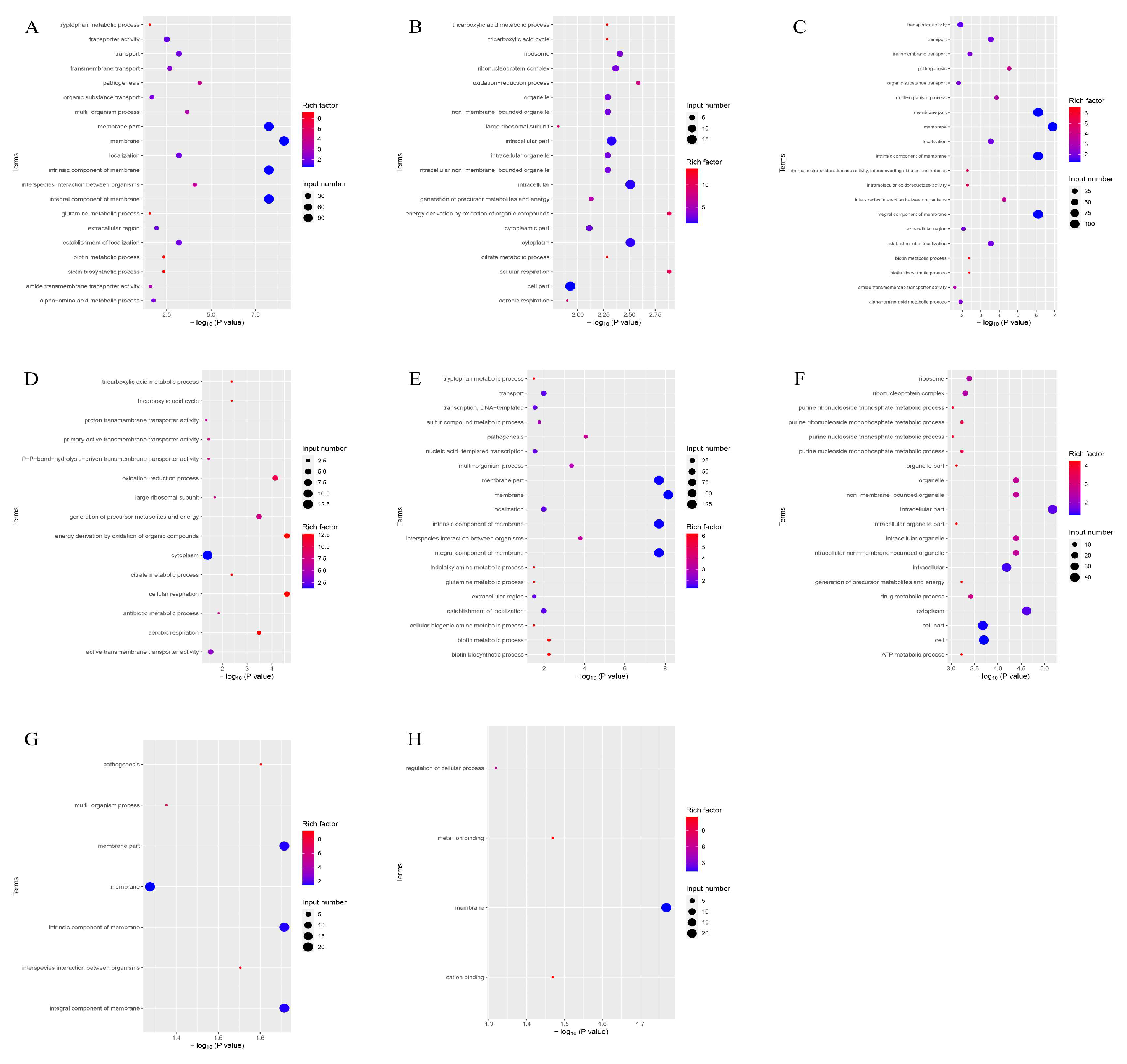 Microorganisms 13 00329 g006