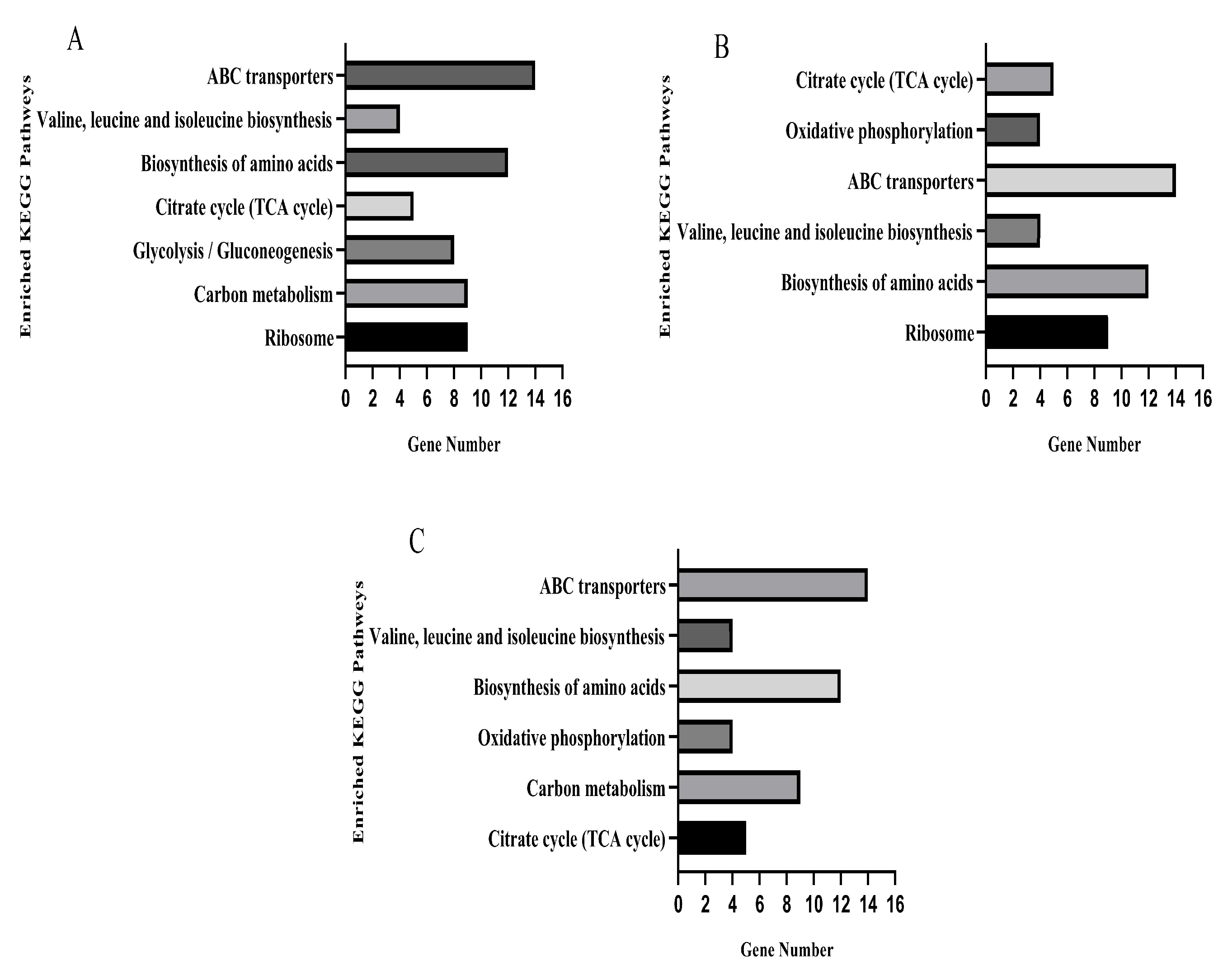 Microorganisms 13 00329 g007