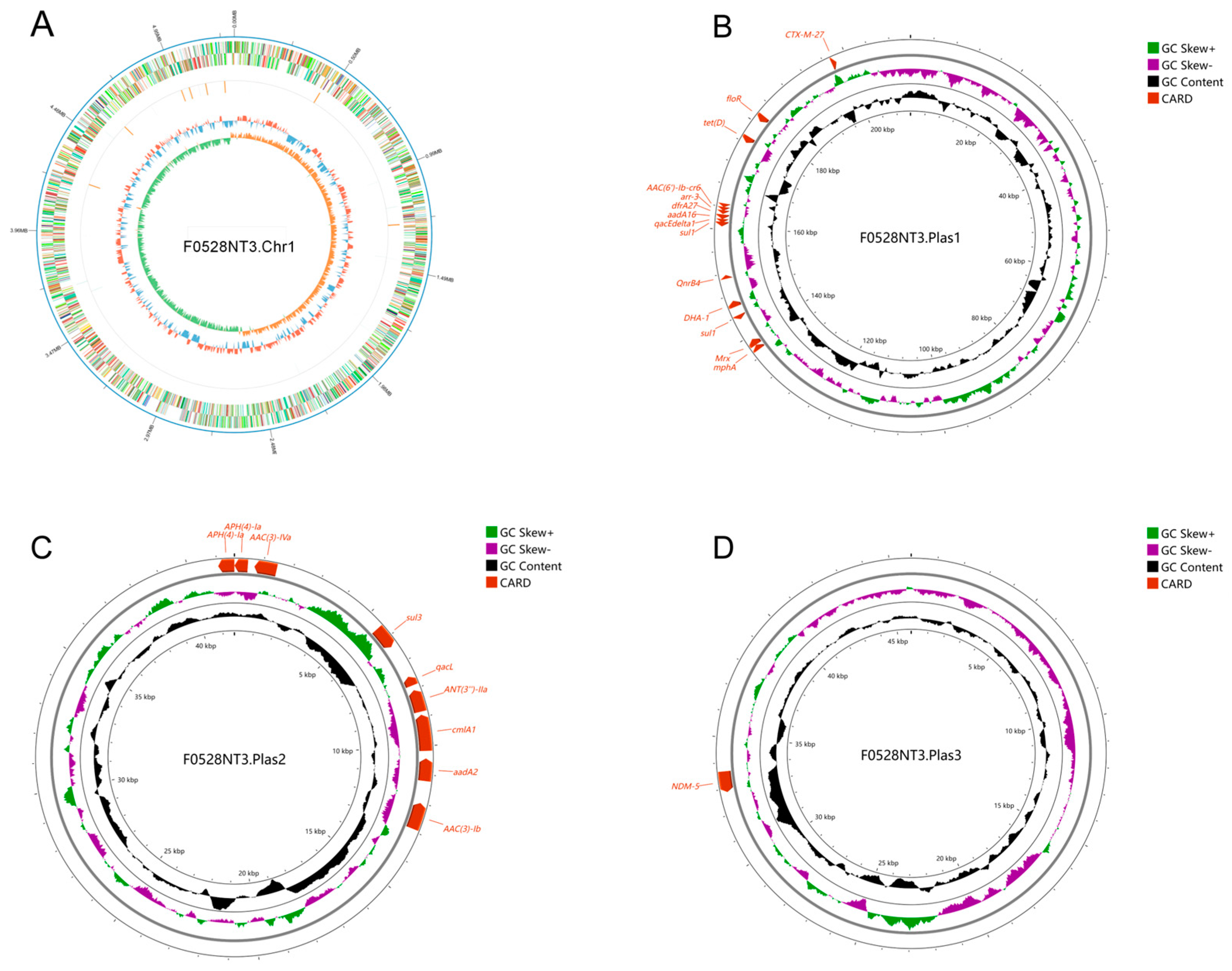 Microorganisms 13 00332 g001