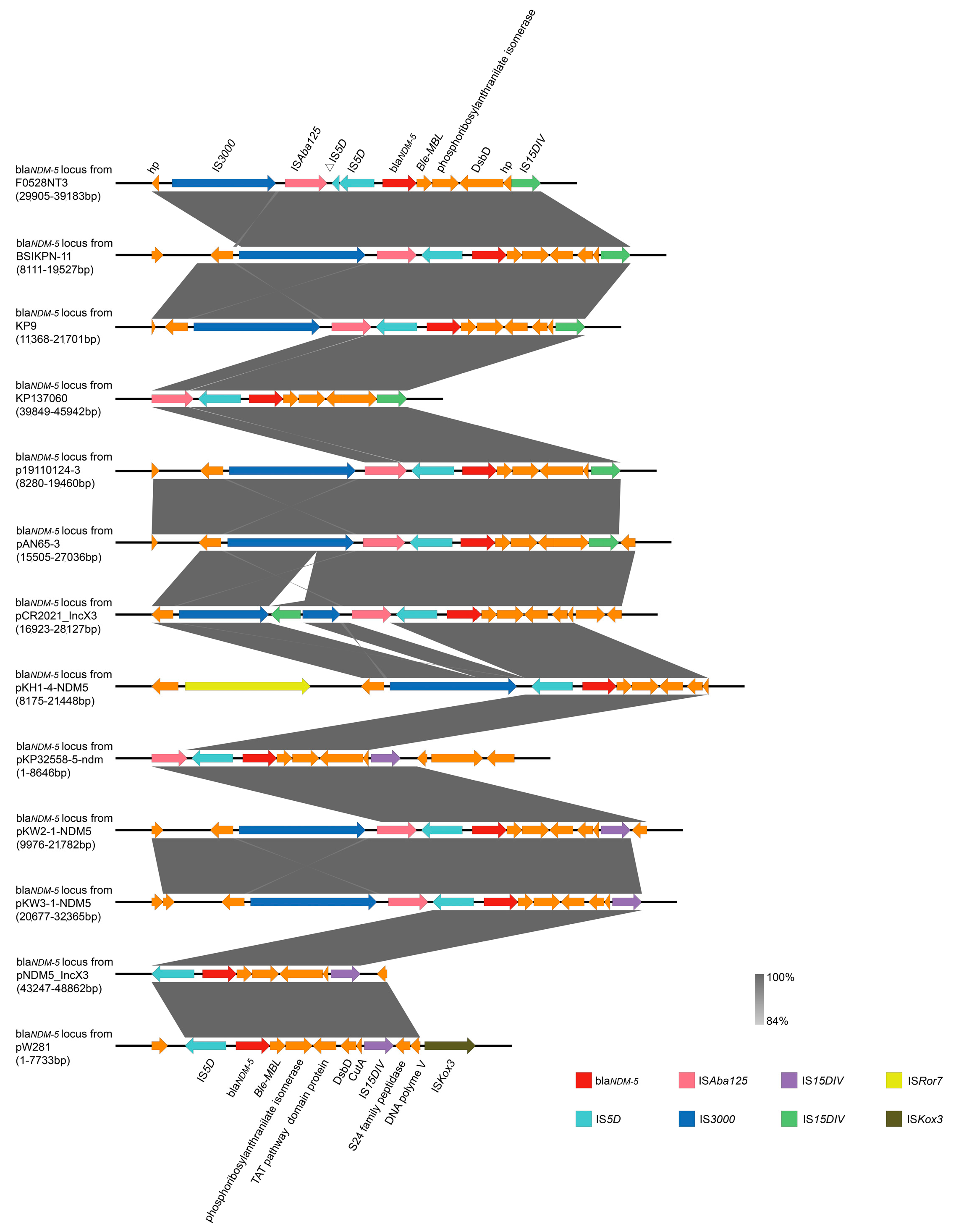 Microorganisms 13 00332 g006