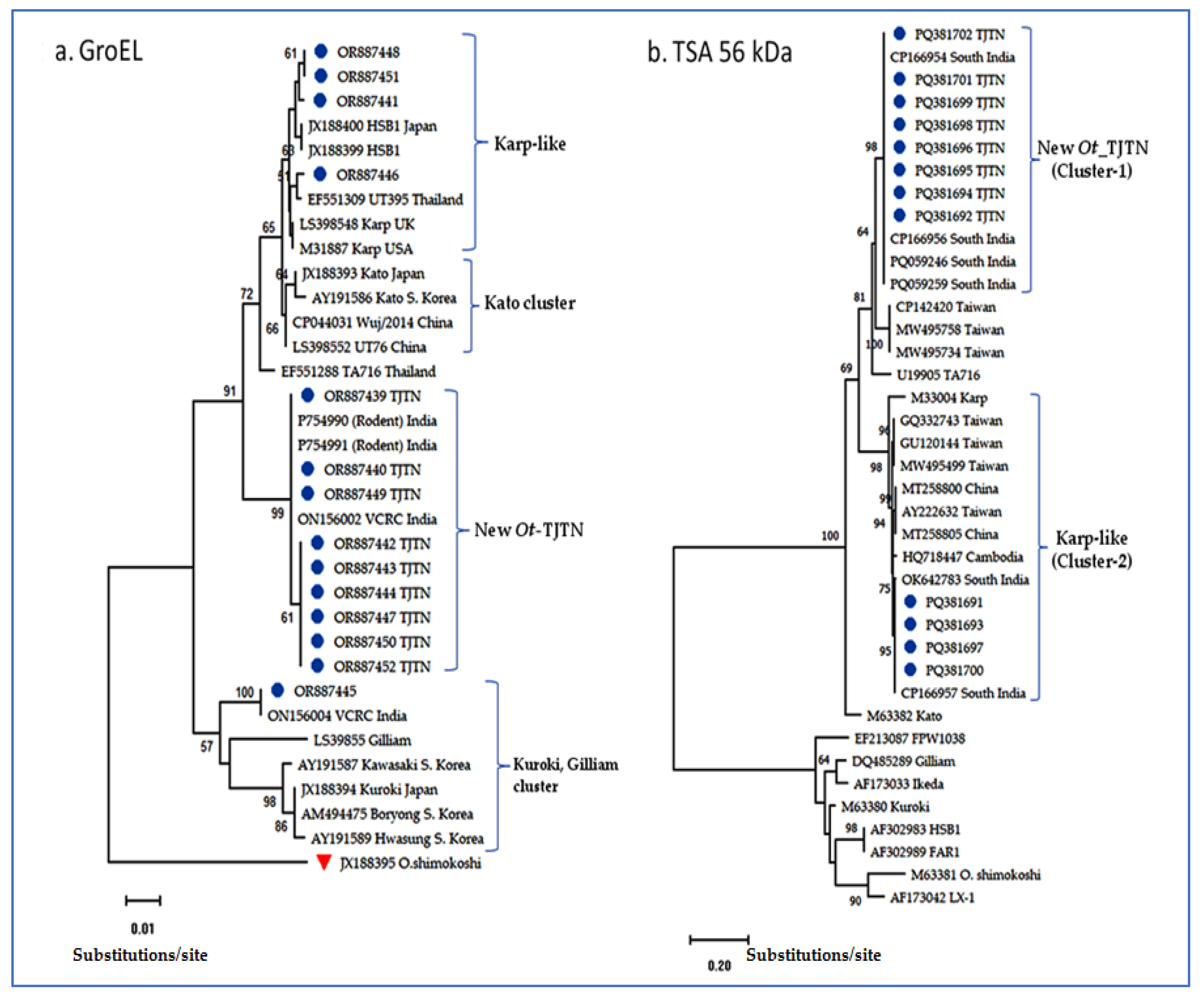Microorganisms 13 00333 g001